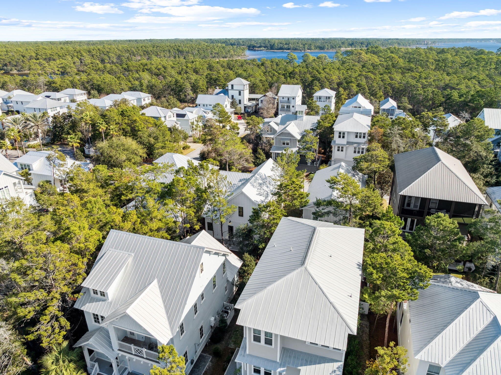 GRANDE POINTE AT INLET BEACH - Residential