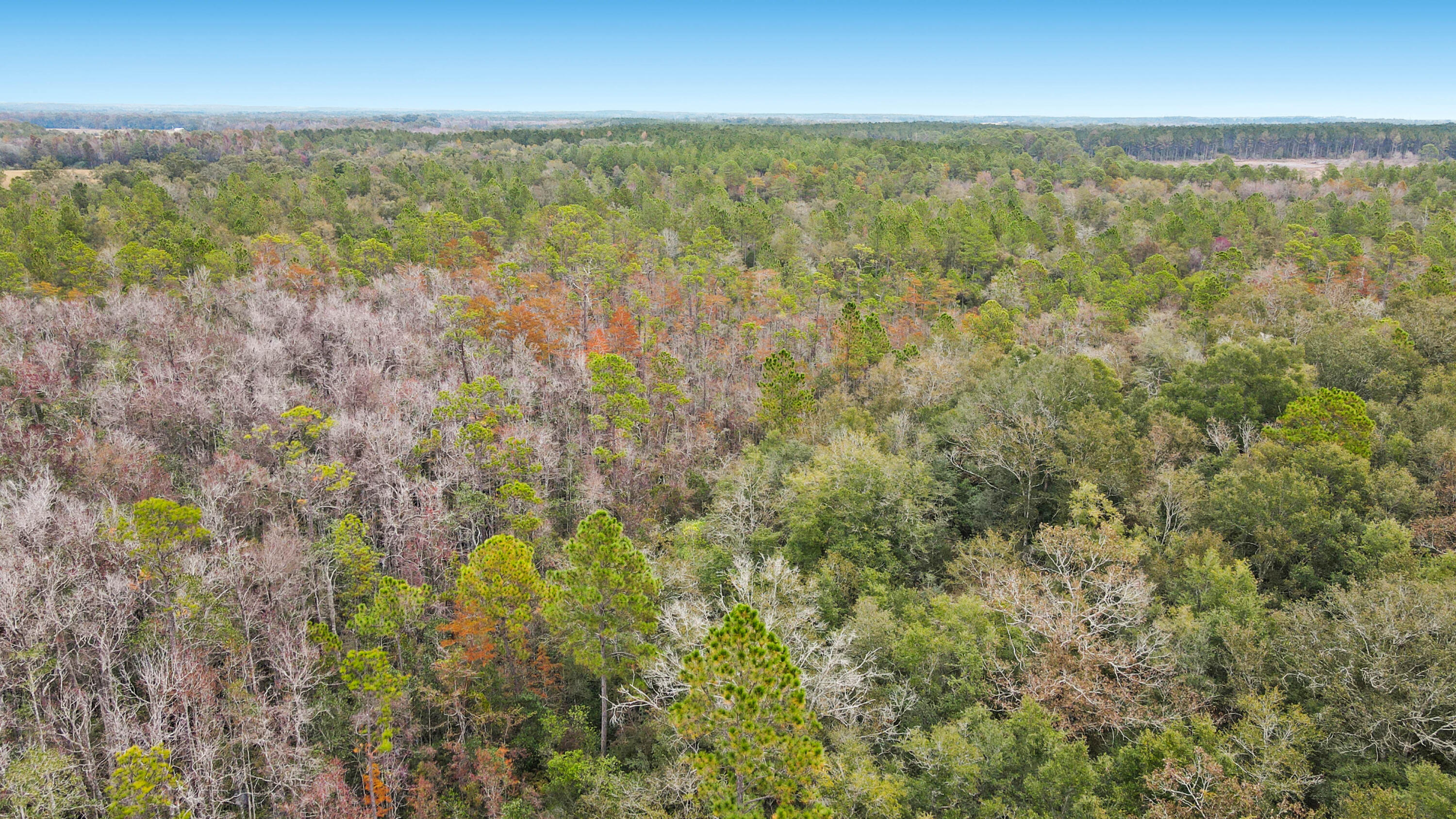 NO RECORDED SUBDIVISION - Land