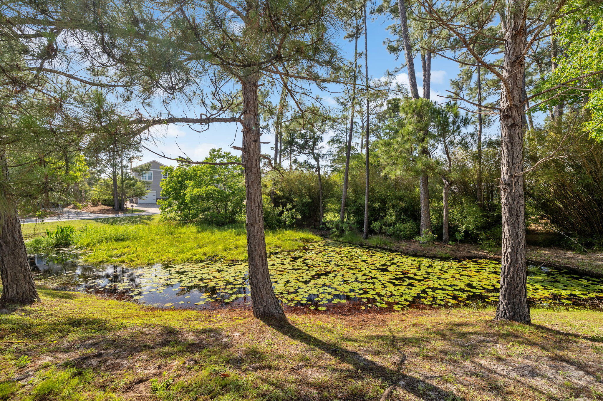 GULF PINES - Residential