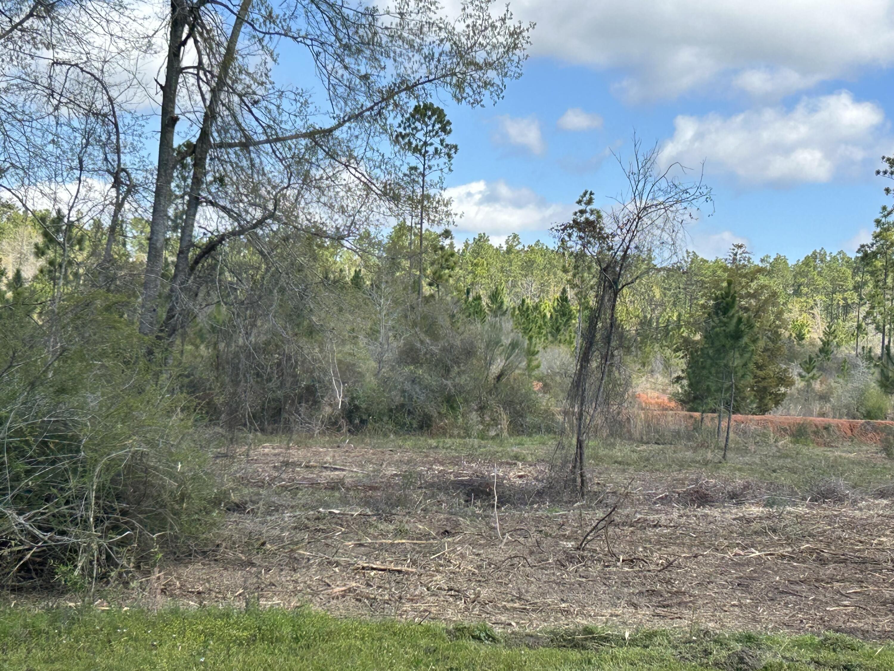 5 acre portion of a 17 acre parcel is available to build your perfect home. The land is flat and partially cleared and ready for your country dream