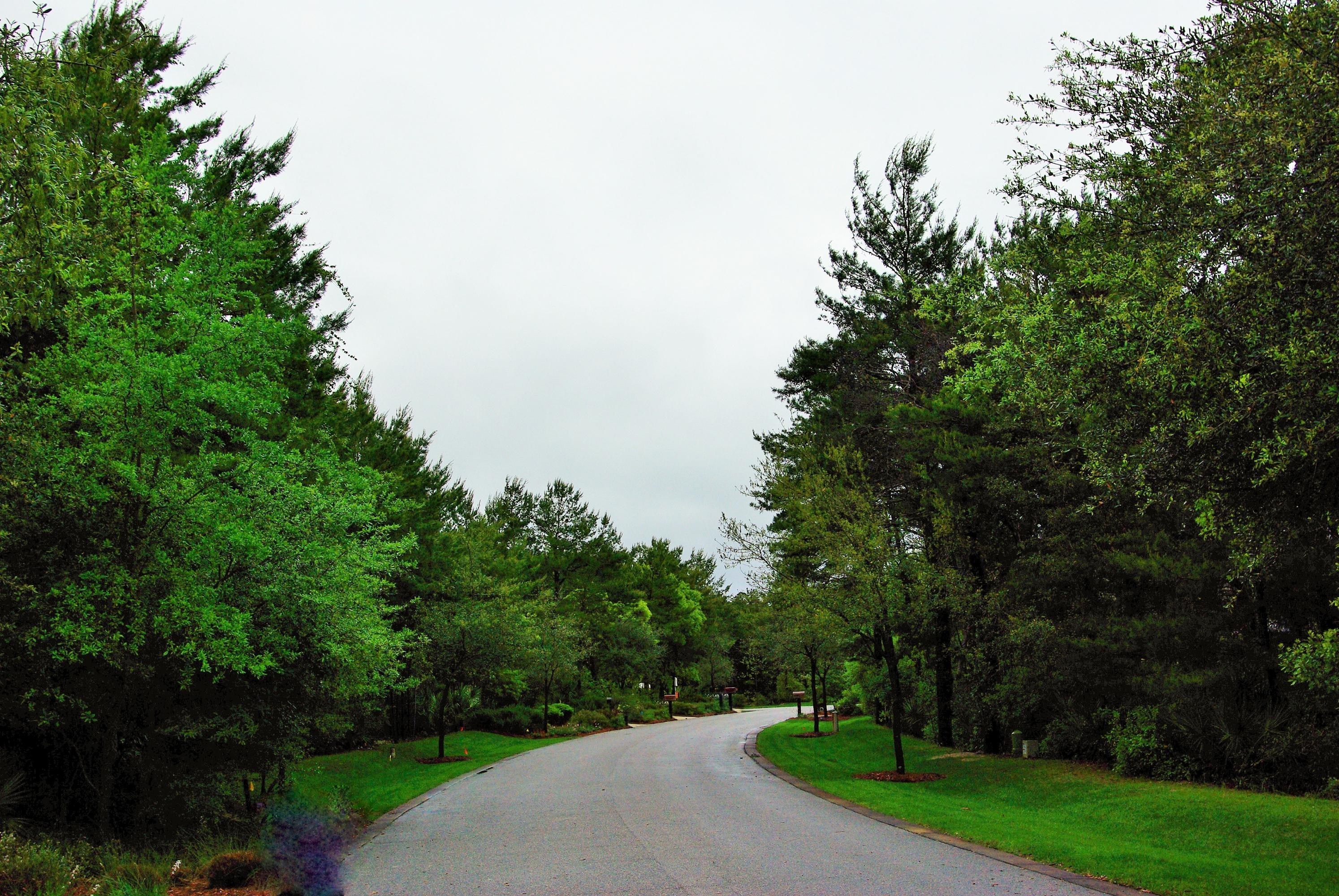 THE LANDING AT CAMP CREEK - Land