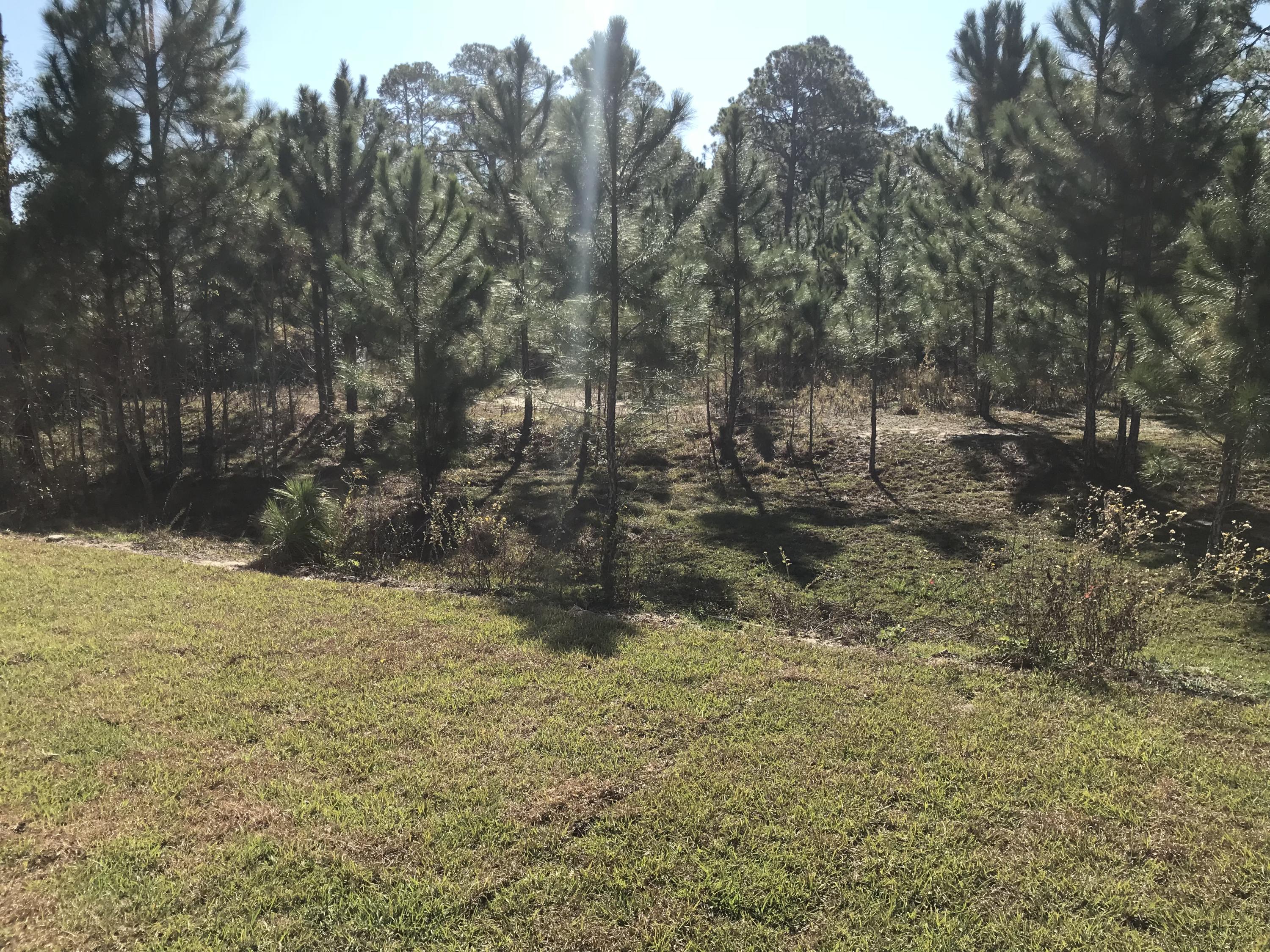 Pine Trace - Residential Lease