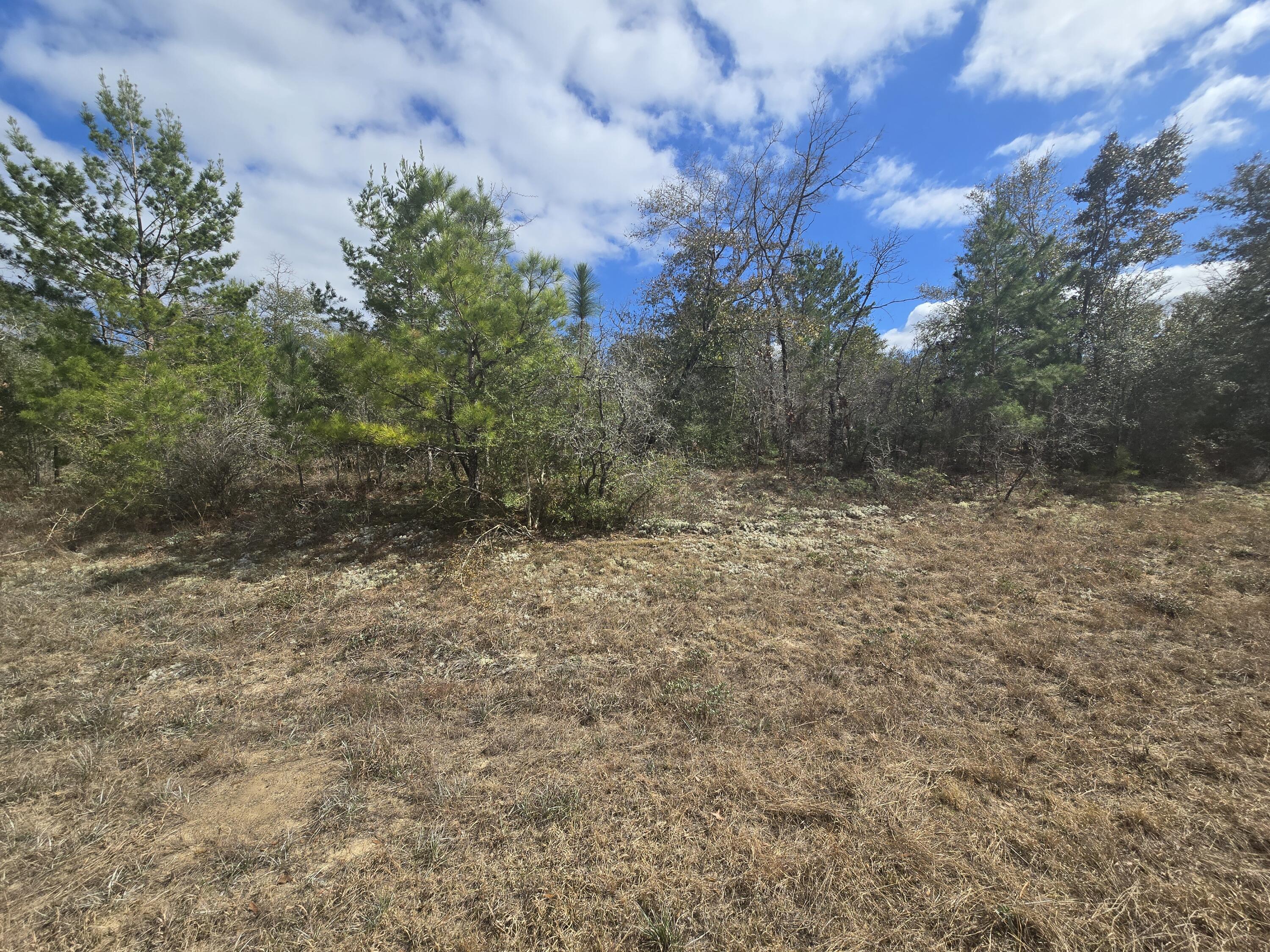 SUNNY HILLS SD - Land