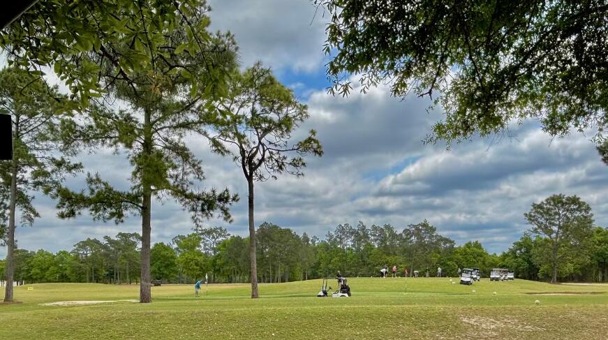 SUNNY HILLS SD - Land