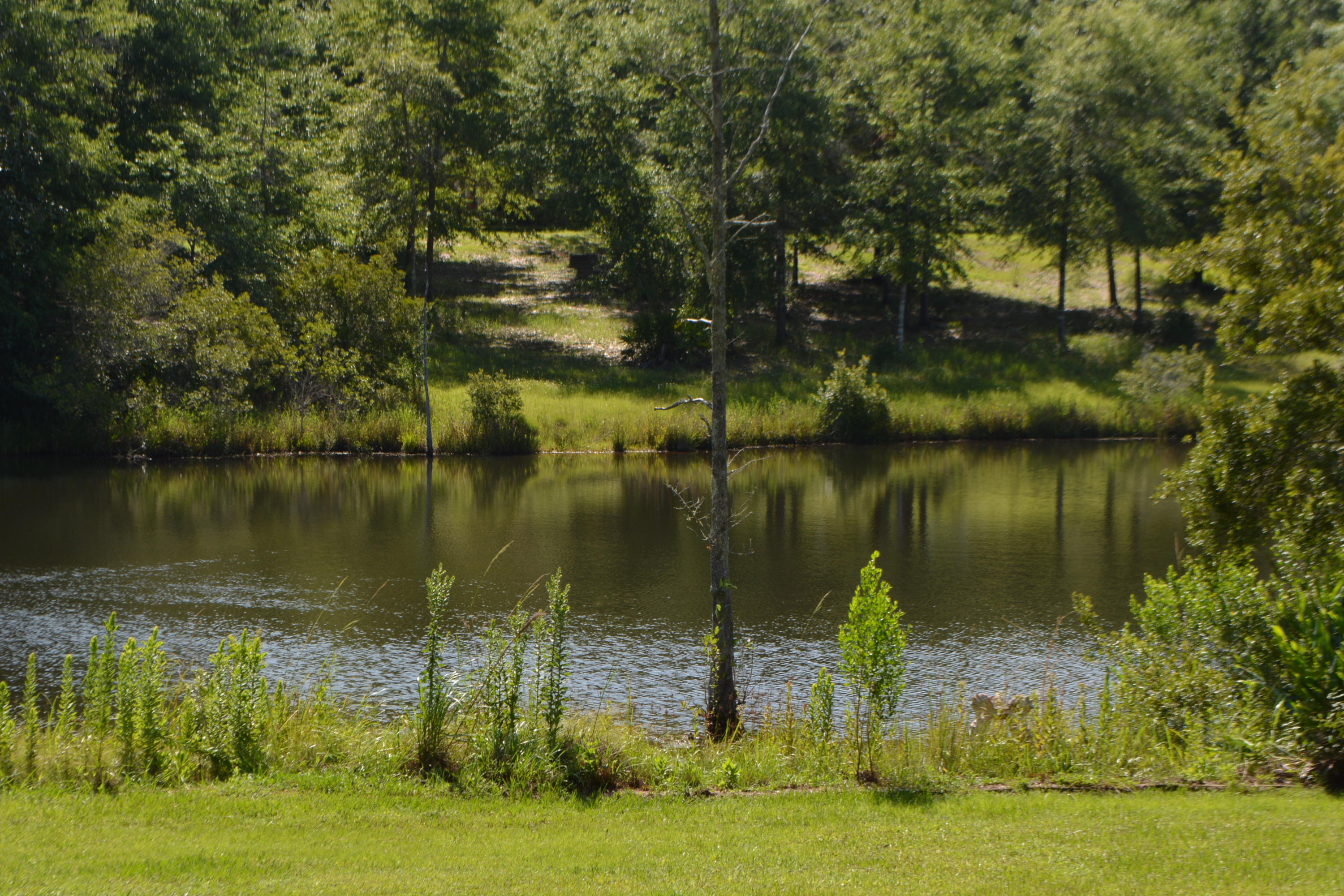 TWIN LAKES ESTATES - Residential