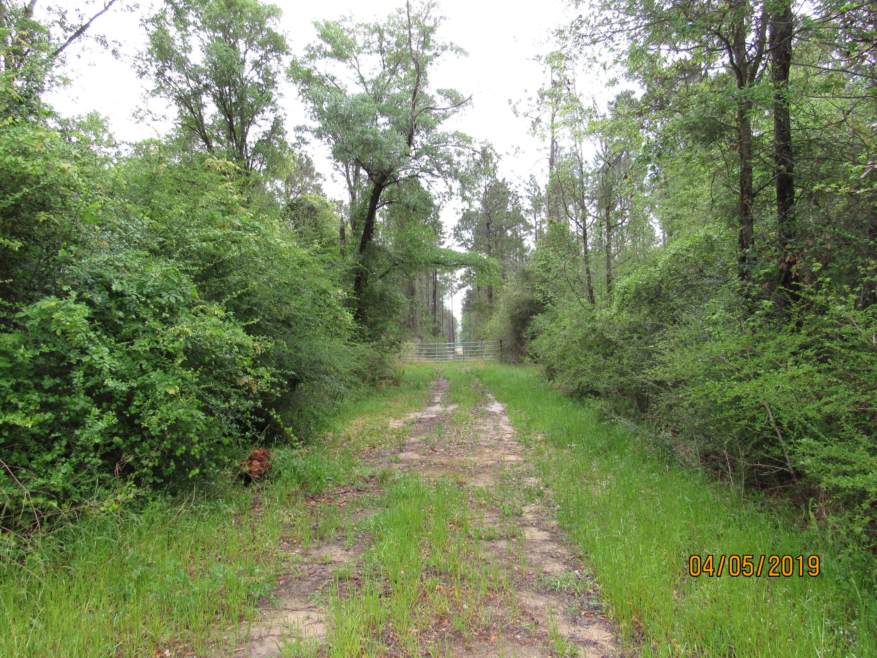 10 AC of Timber ! Great place to hunt and get away from it all. Paved road access and has an entry gate down the driveway.