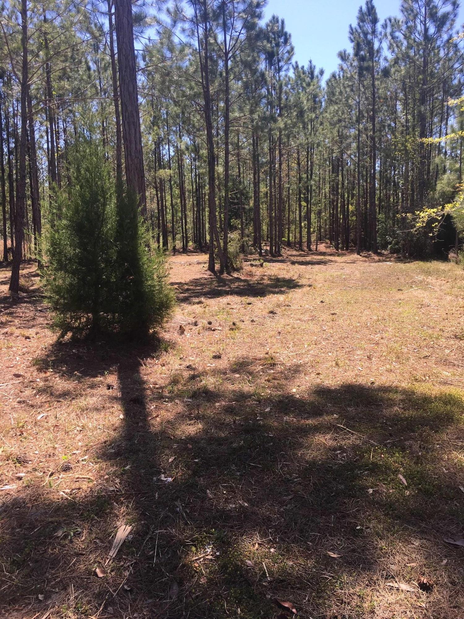 BEAR CREEK COTTAGES - Land