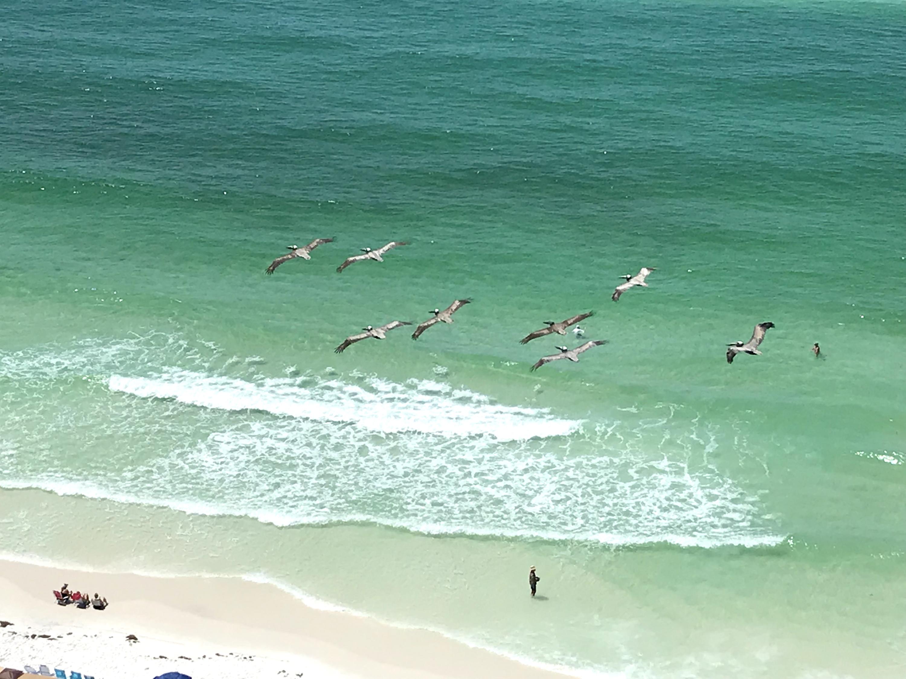 ONE SEAGROVE PLACE CONDO - Residential