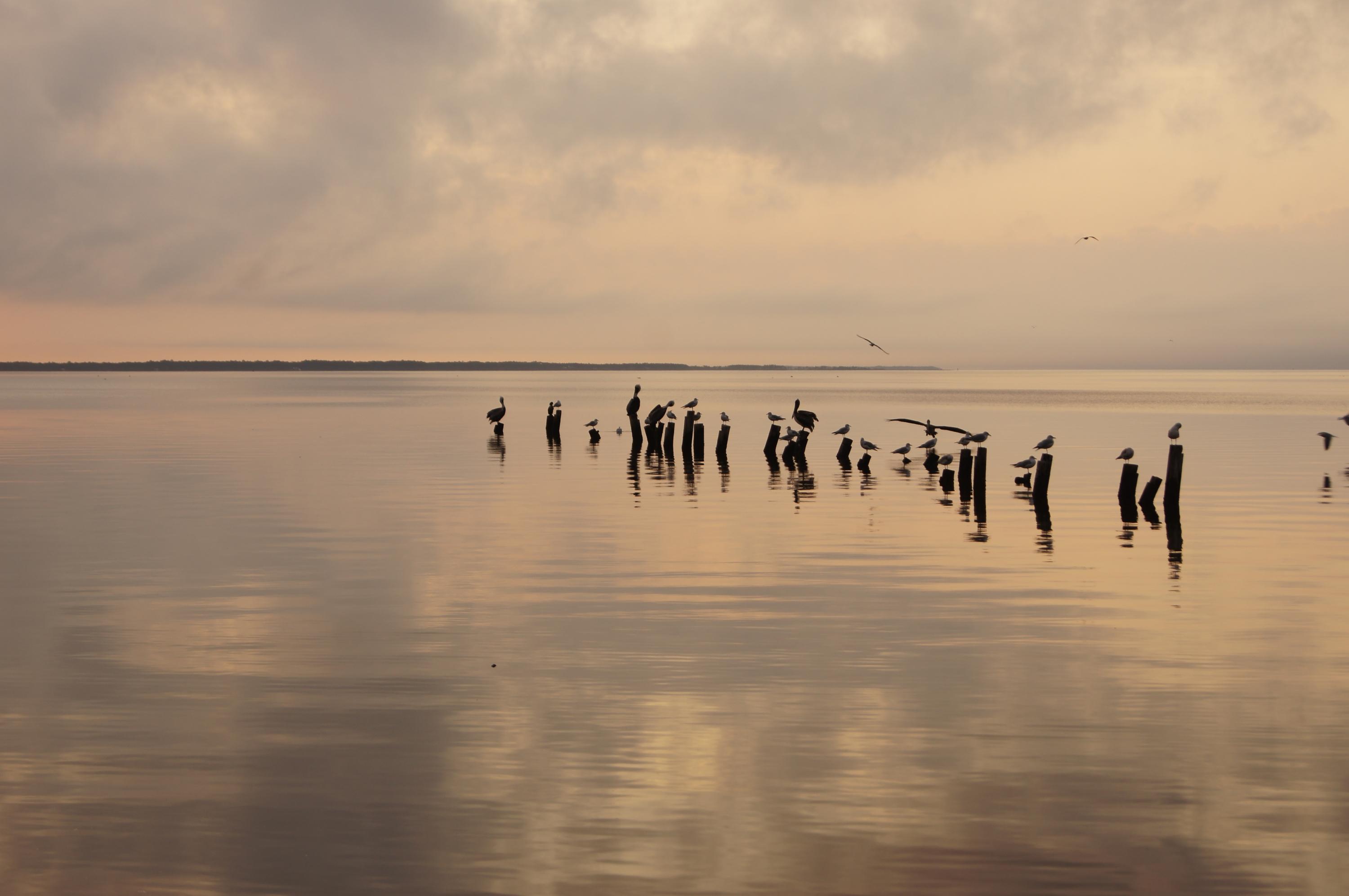 BAY GROVE - Residential