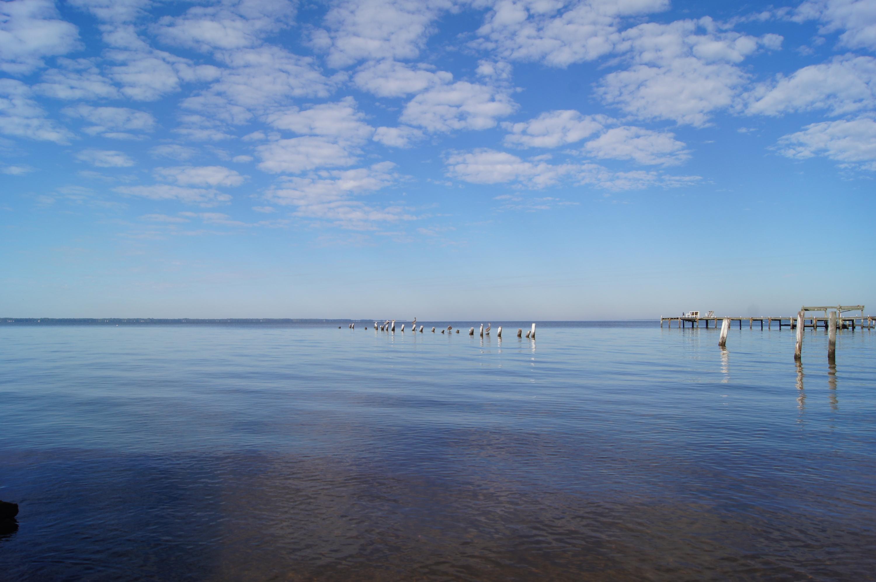 BAY GROVE - Residential