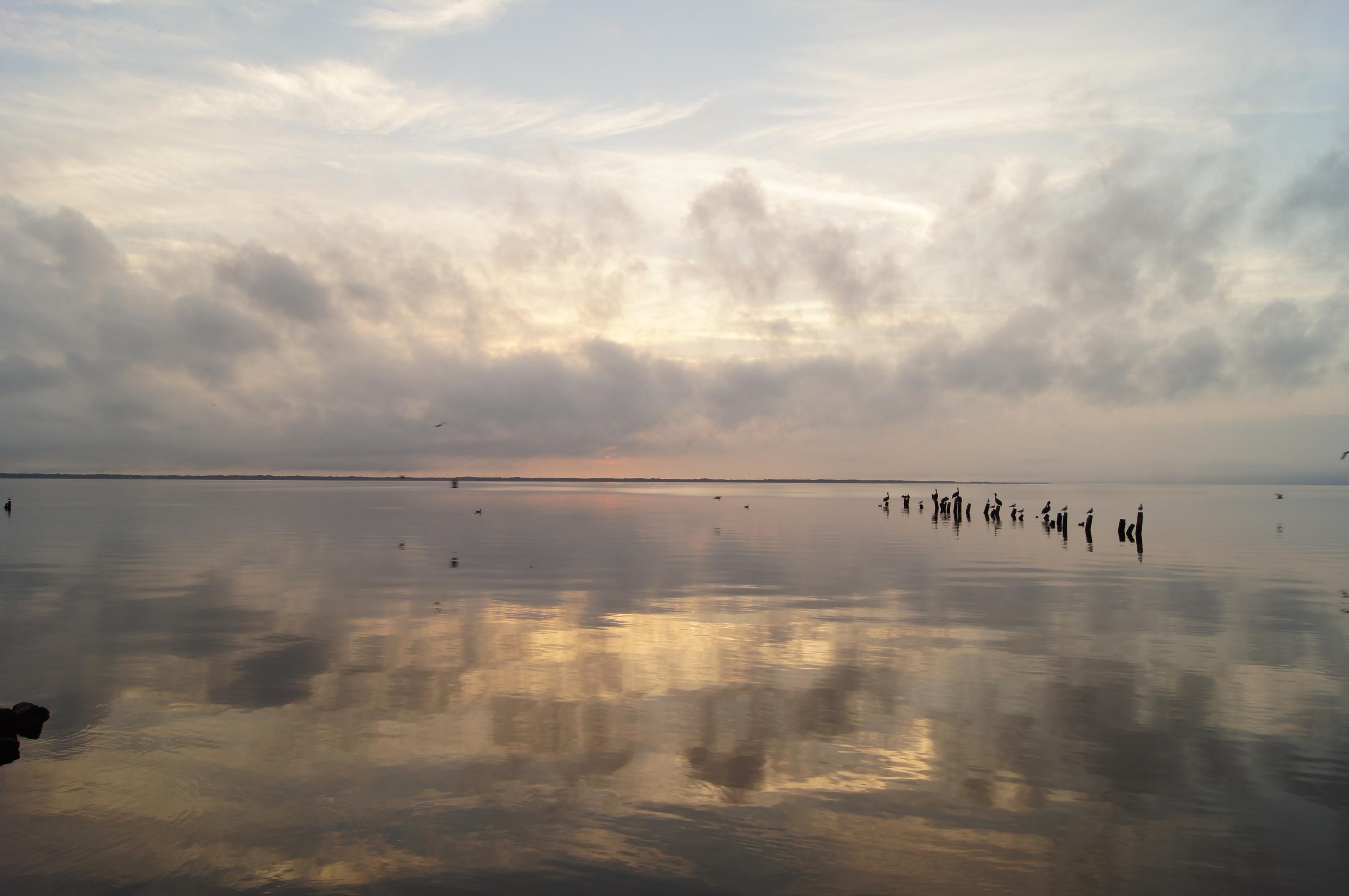 BAY GROVE - Residential