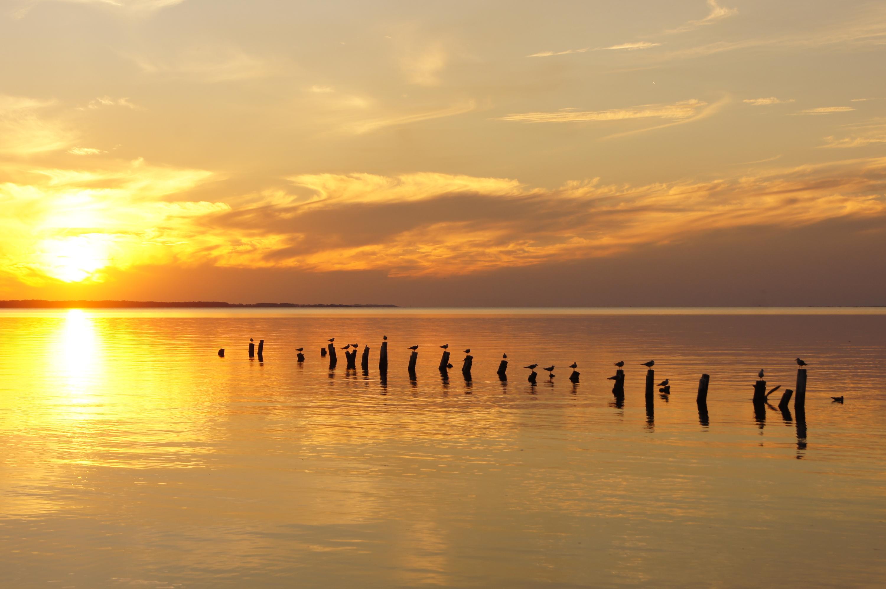 BAY GROVE - Residential