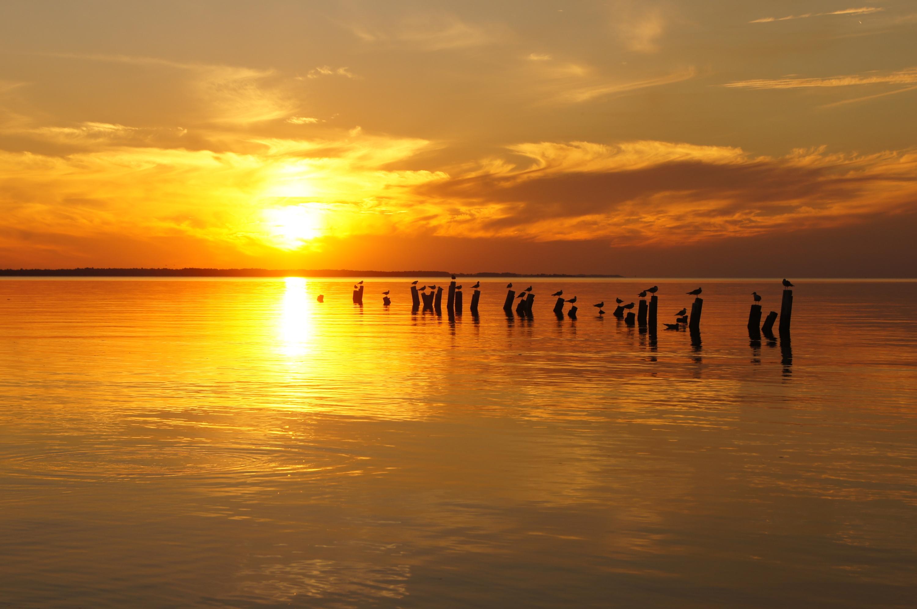 BAY GROVE - Residential