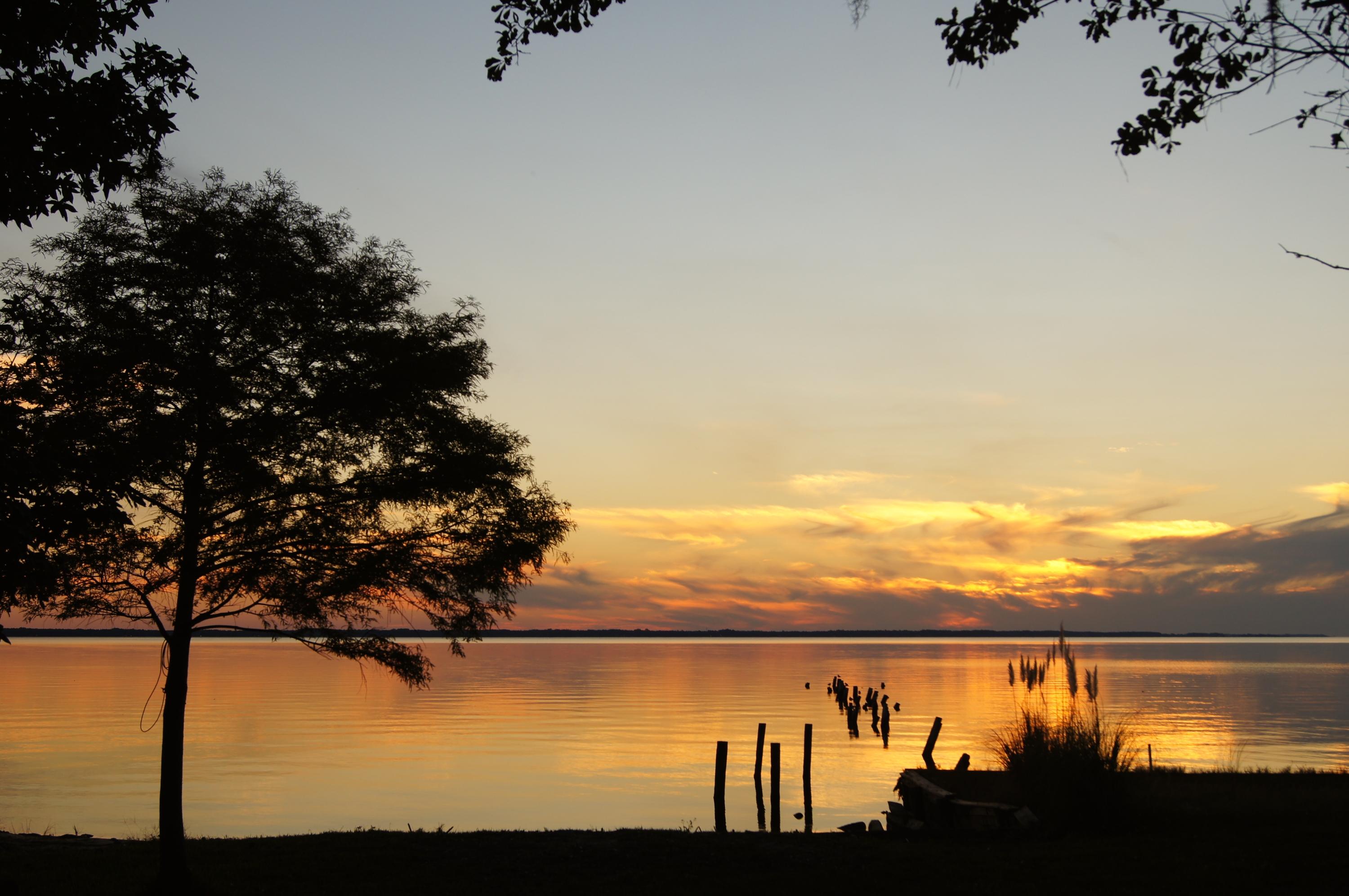 BAY GROVE - Residential