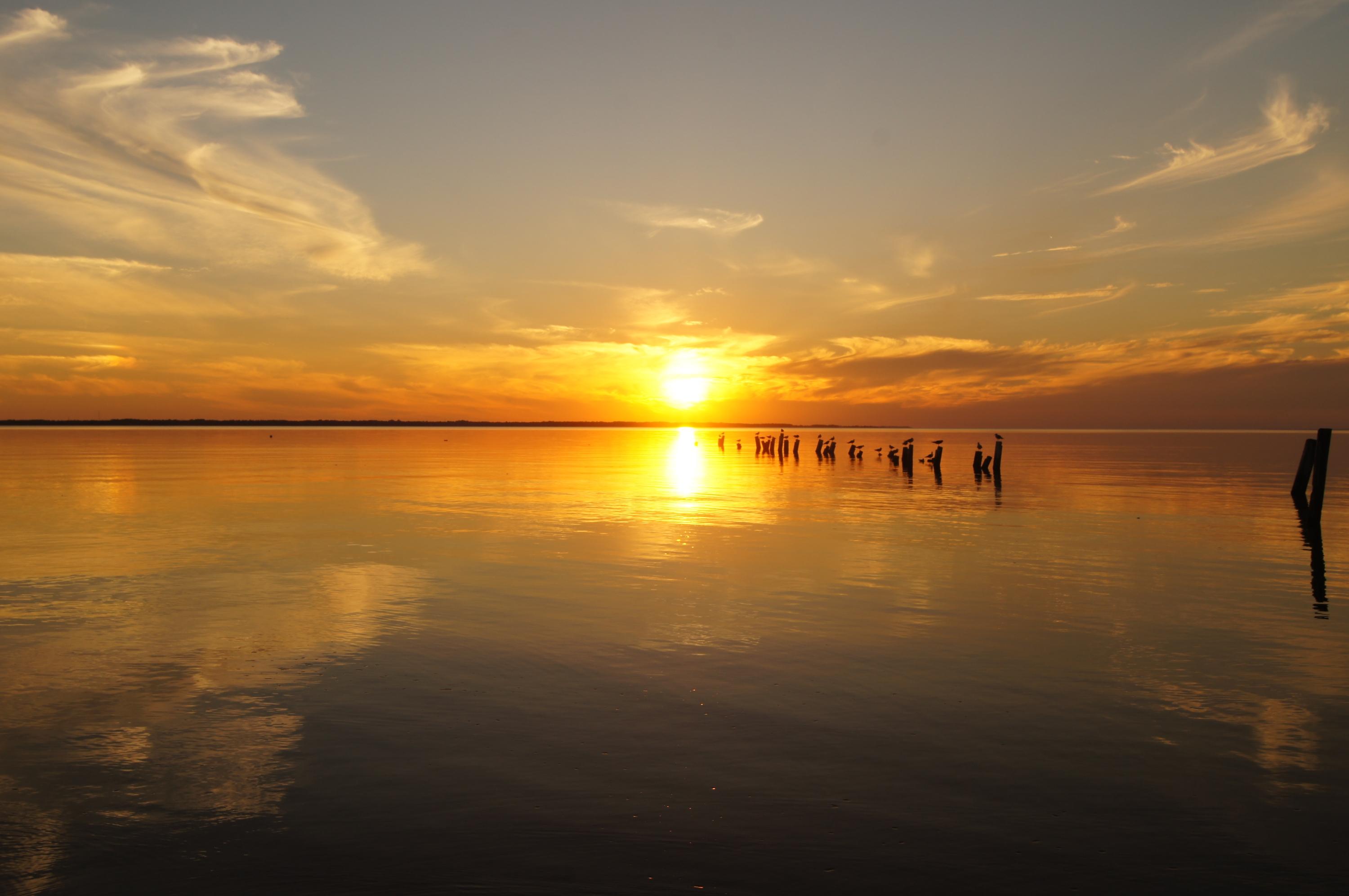 BAY GROVE - Residential