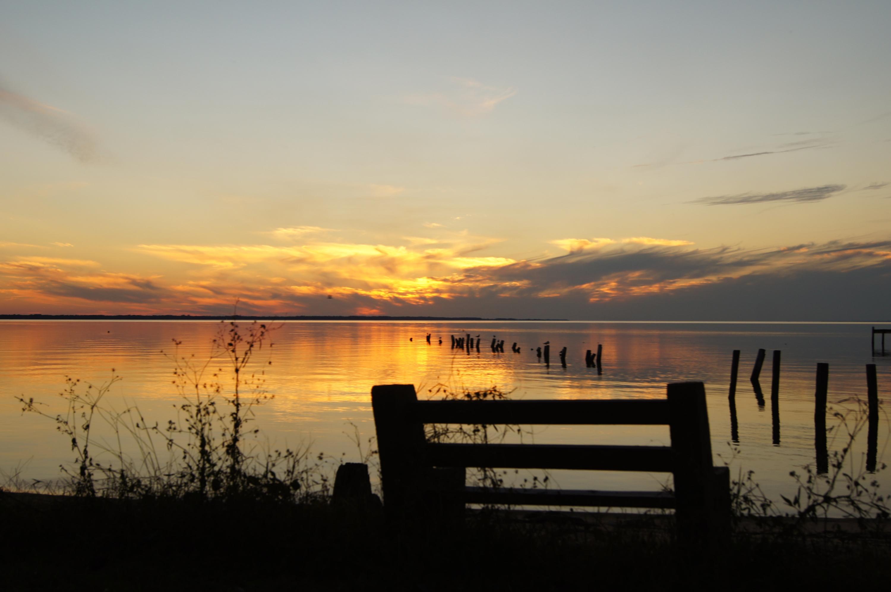 BAY GROVE - Residential