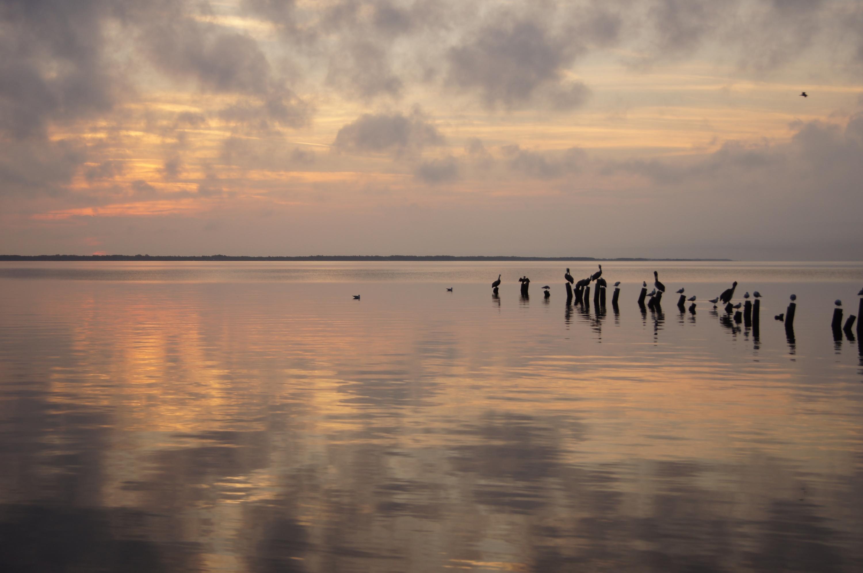 BAY GROVE - Residential