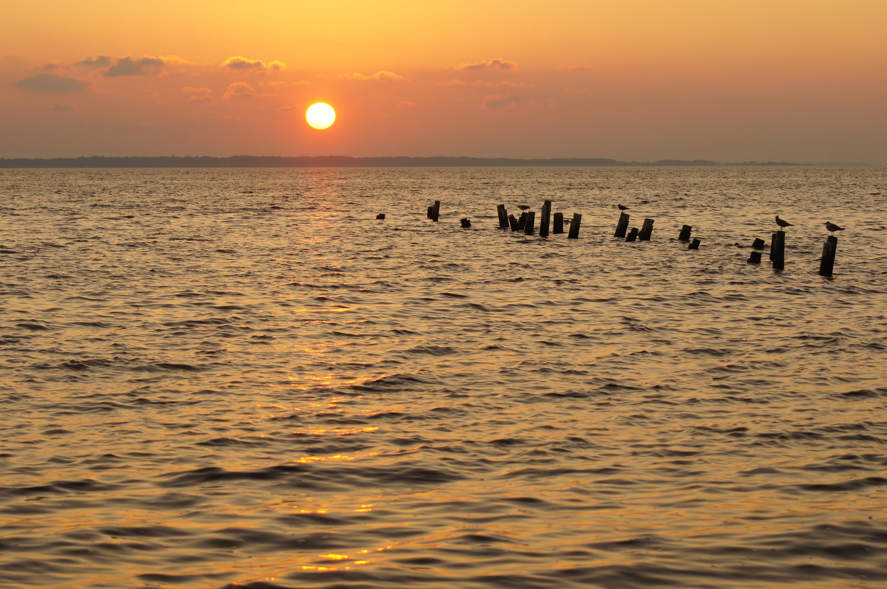 BAY GROVE - Residential