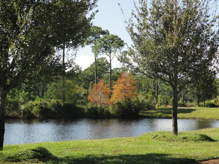 DRIFTWOOD ESTATES - Residential