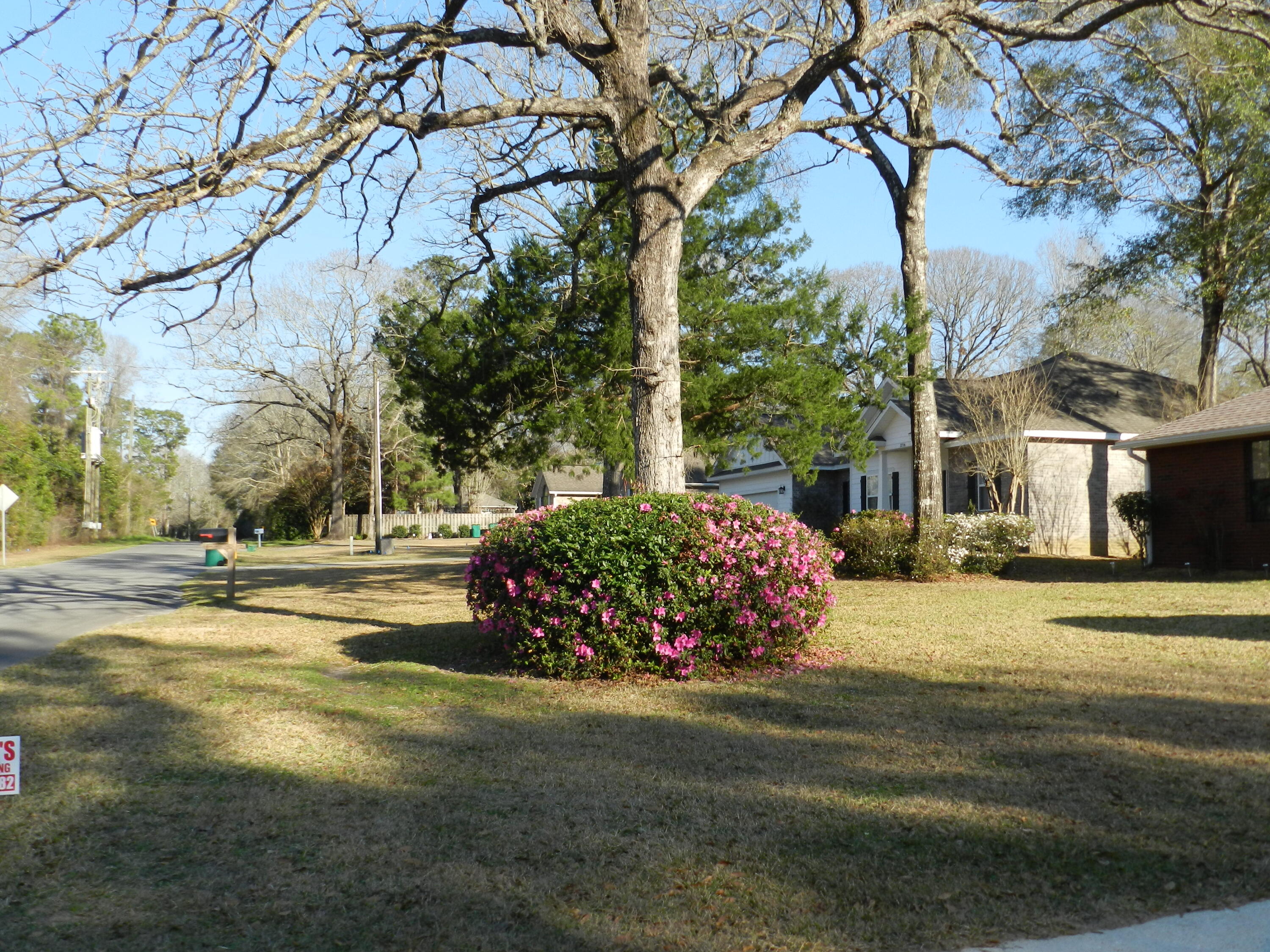 DOGWOOD ESTATES - Residential