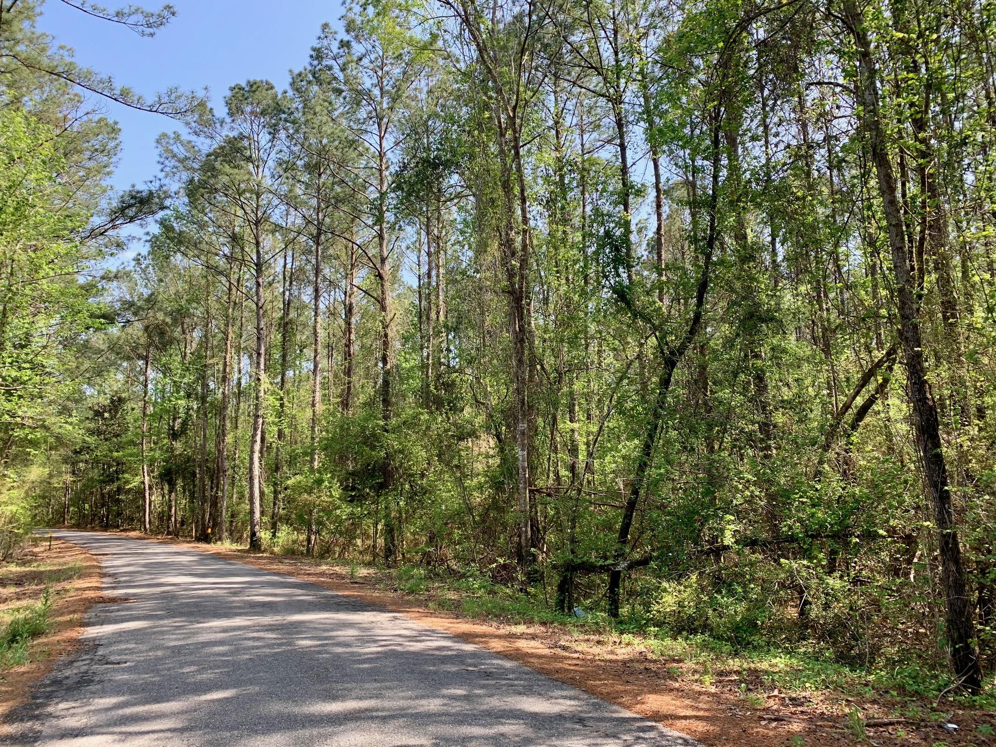 Paved road! Beautiful, quiet setting minutes to I-10 and within an hour to the Beach, Crestview, Destin and Panama City. Build your dream home, bring your horses or enjoy for weekend getaways. Survey available. Flood Zone X. No utilities on this parcel but electric close by. Buyer to verify all information.