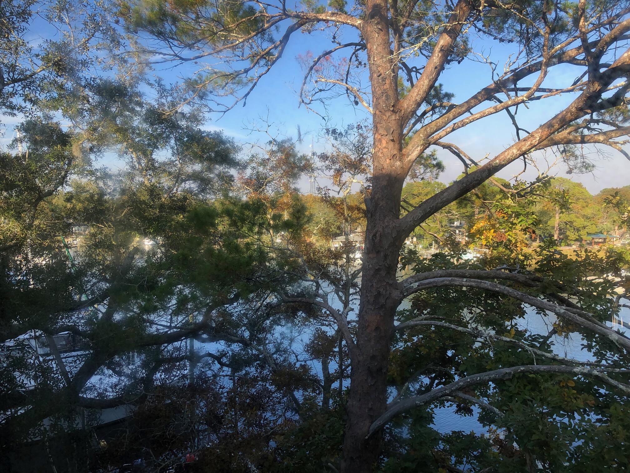 MARINA VILLAS CONDO AT BLUEWATER BAY - Residential