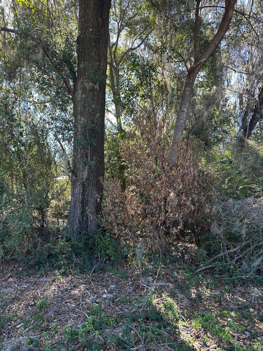 Beautiful lot for your new dream home!