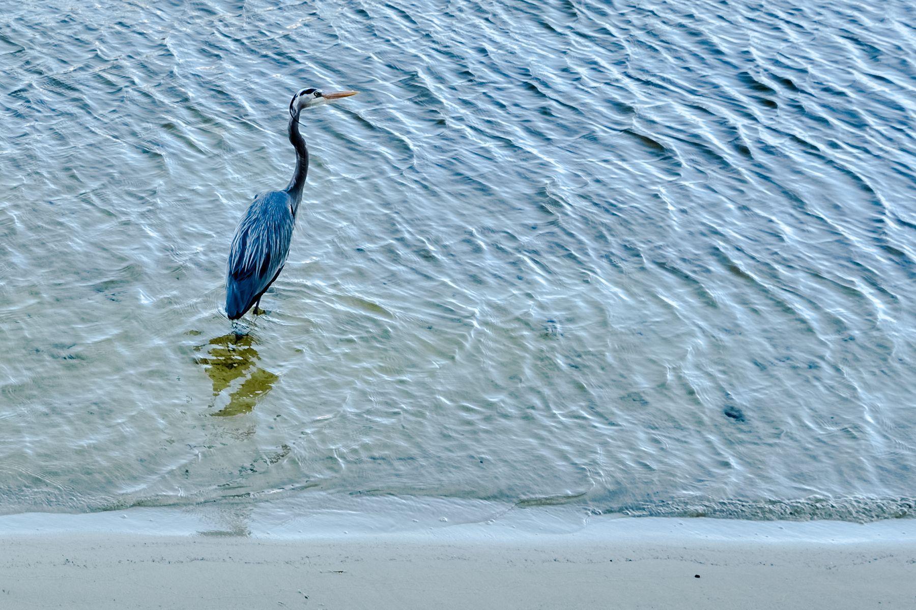 PALM COURT YACHT CLUB - Residential