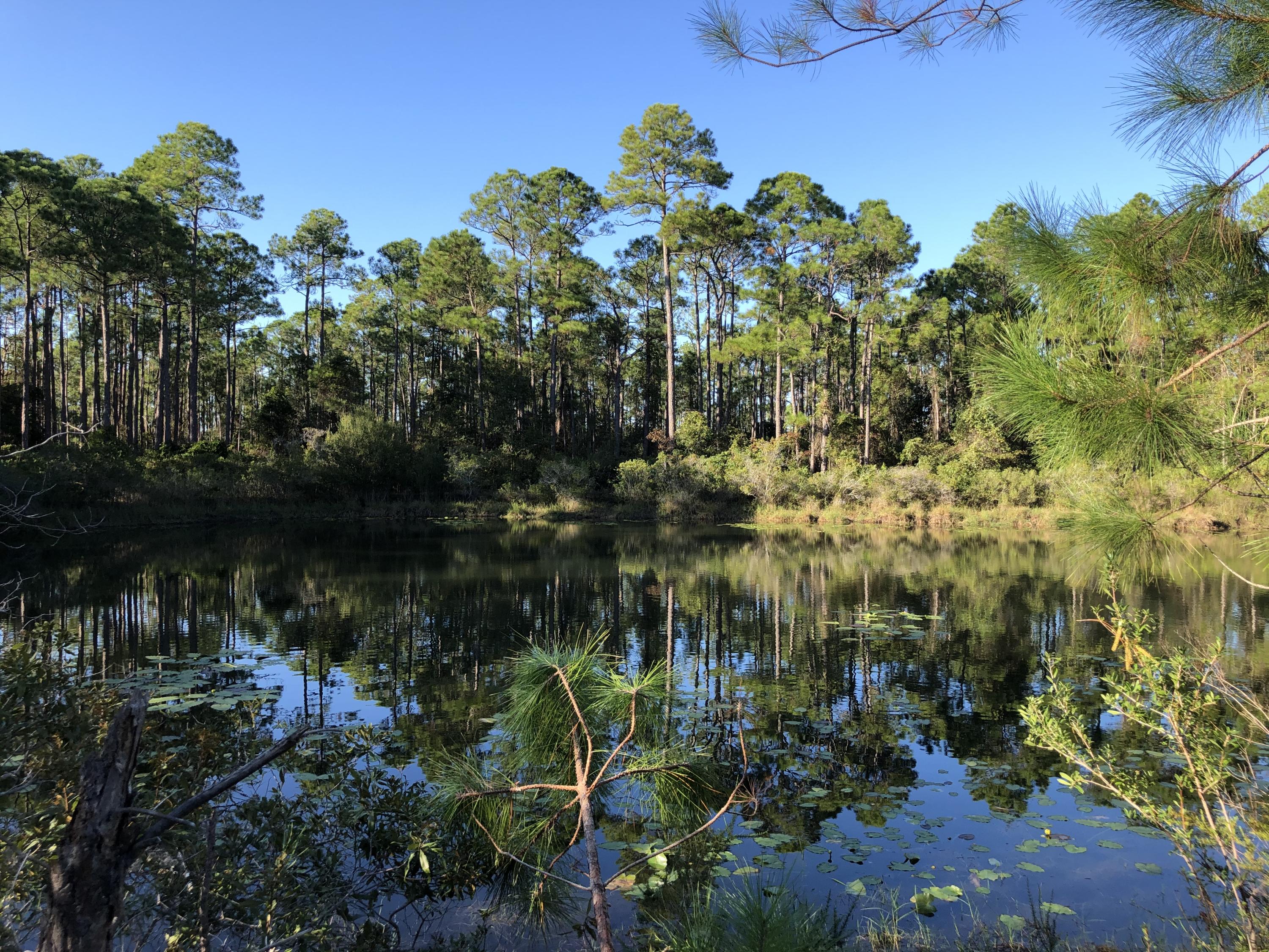SANTA ROSA PLANTATION - Land