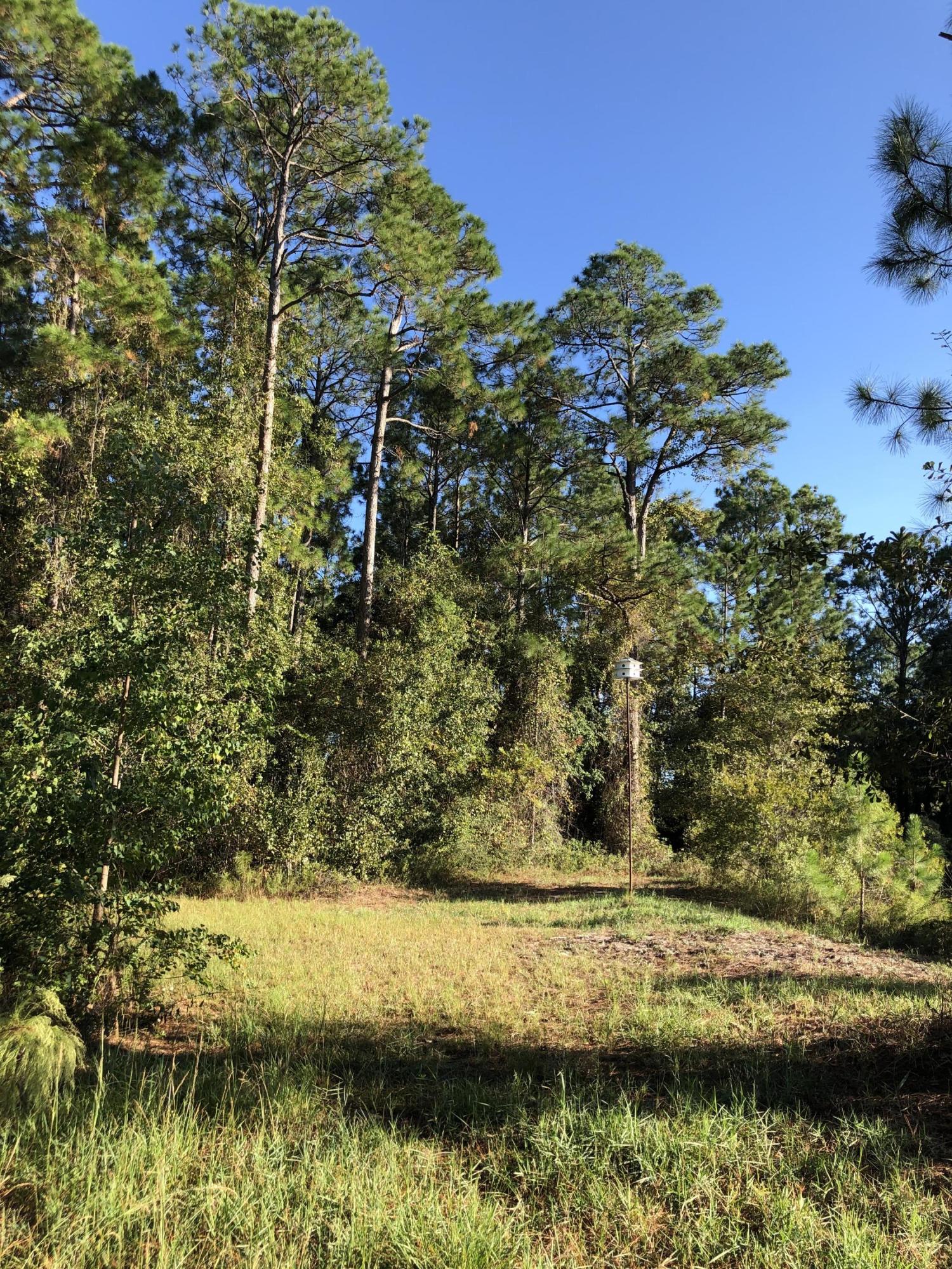 SANTA ROSA PLANTATION - Land