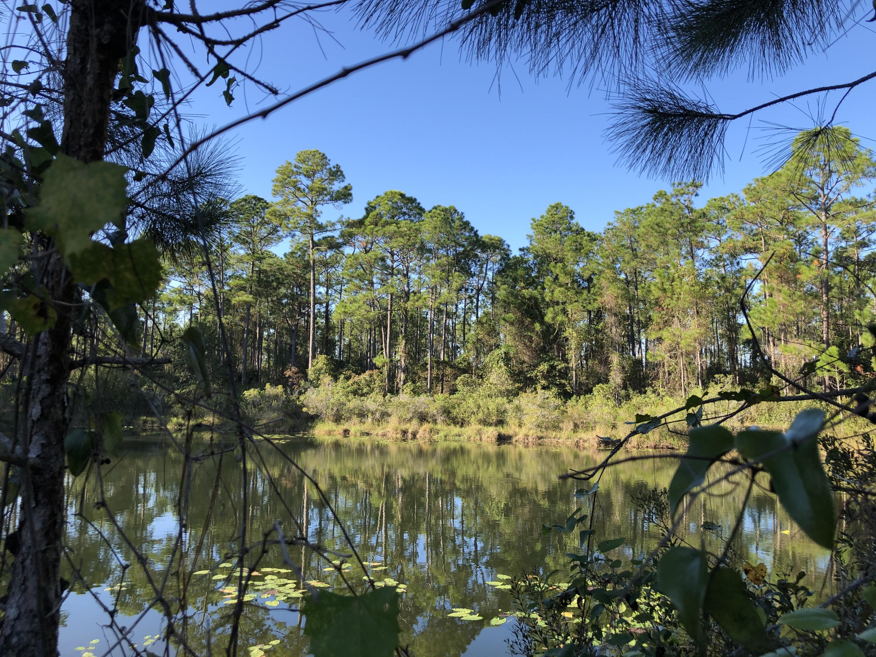 SANTA ROSA PLANTATION - Land