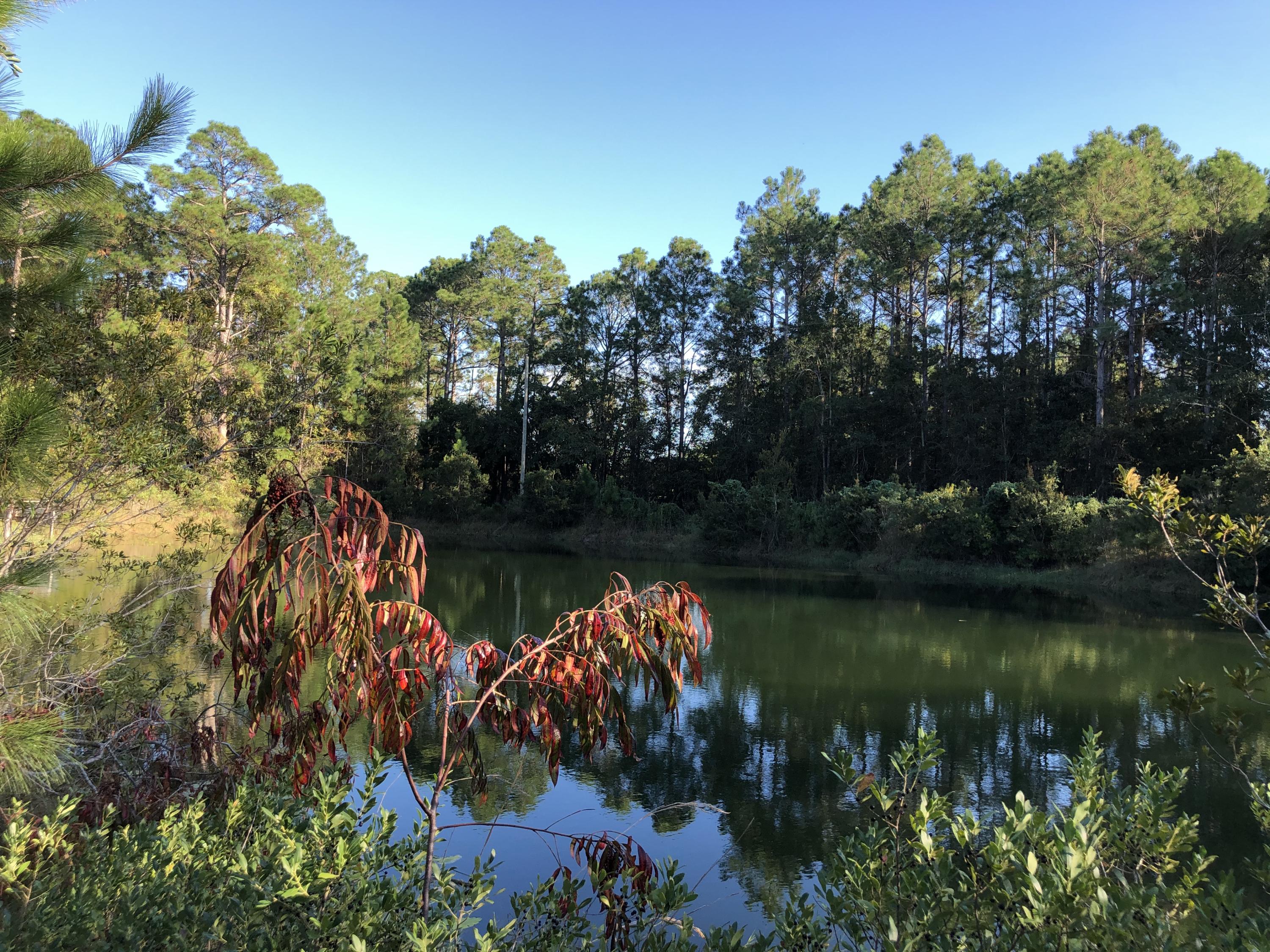 SANTA ROSA PLANTATION - Land