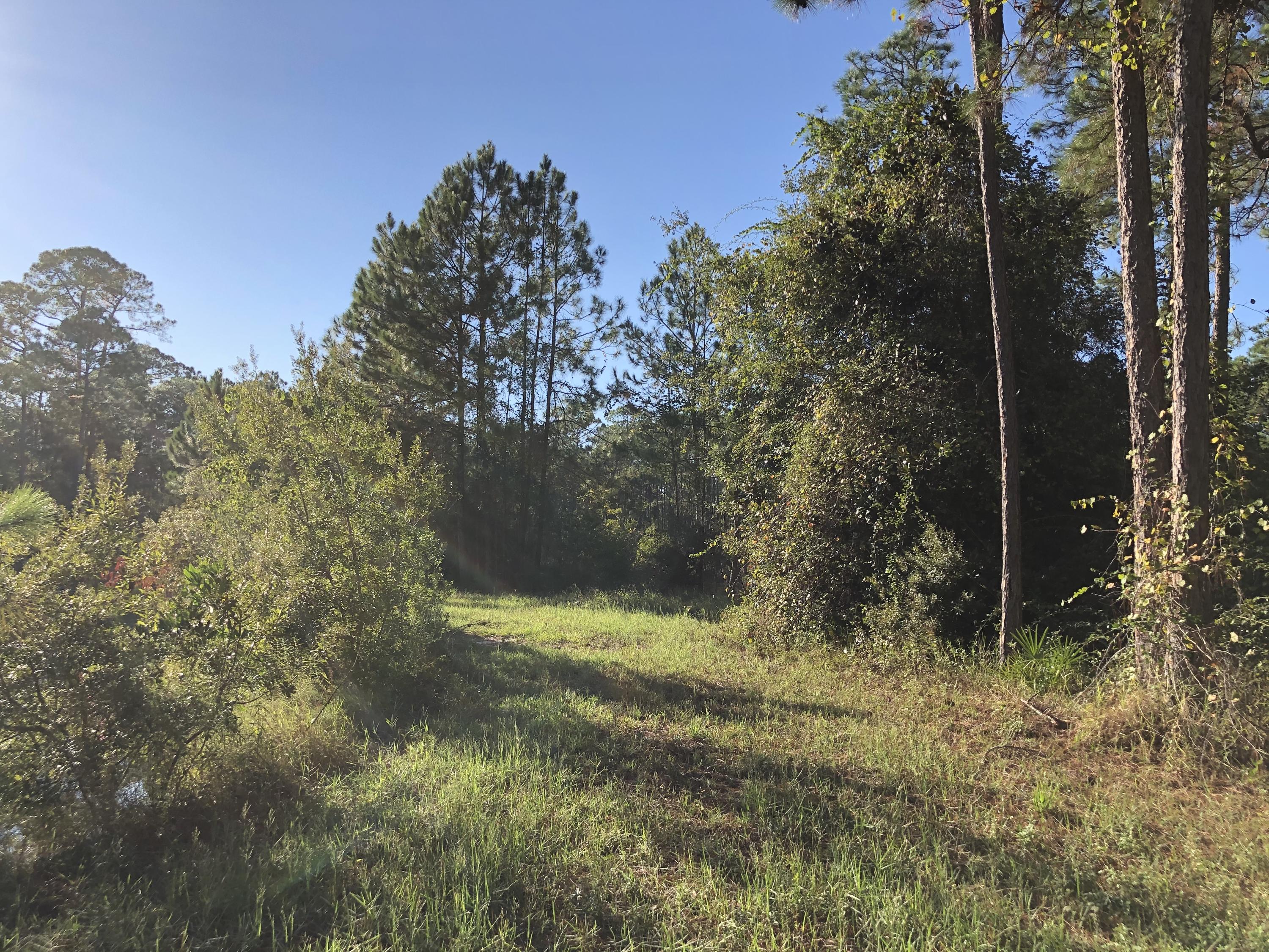 SANTA ROSA PLANTATION - Land