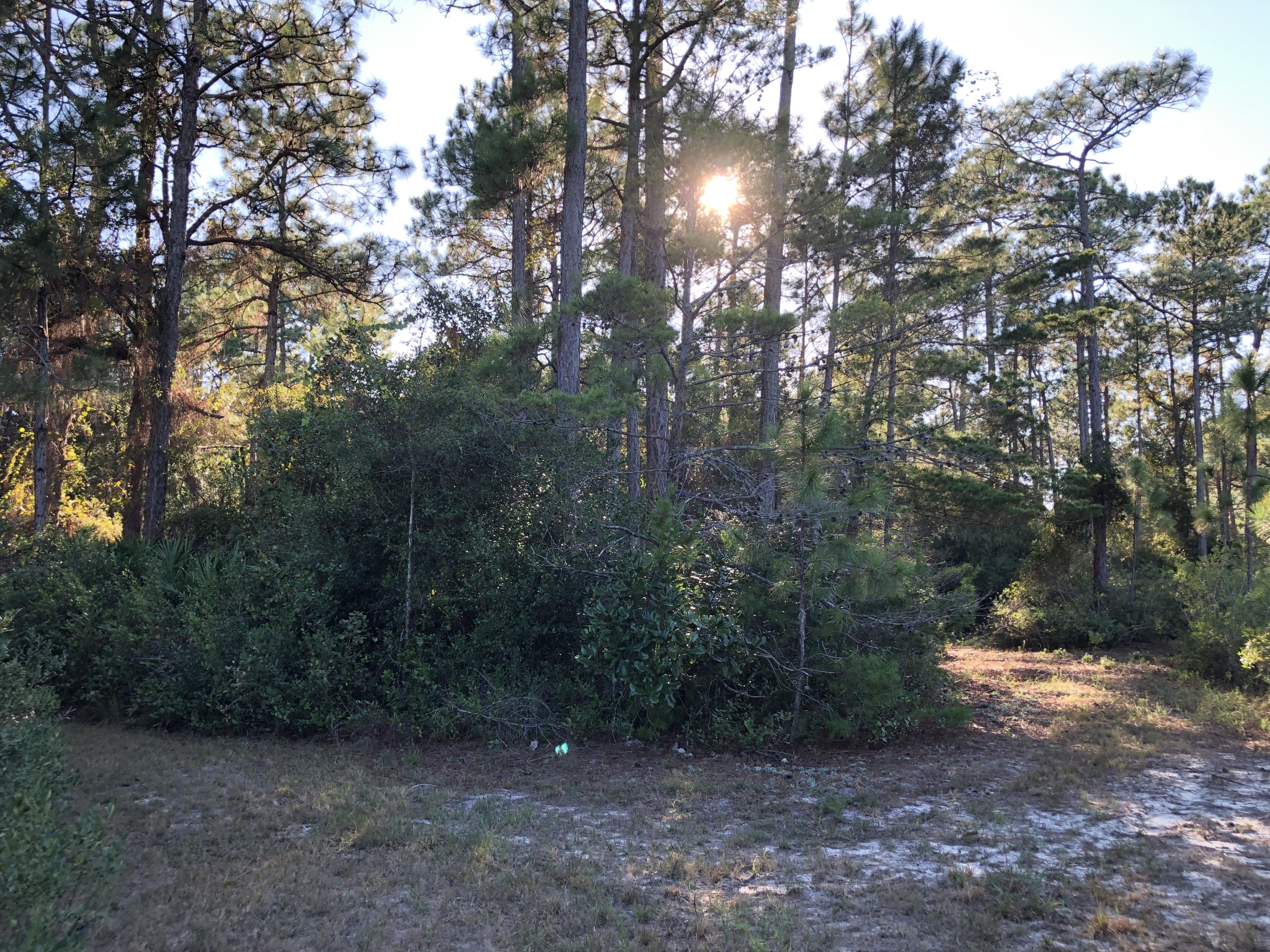 SANTA ROSA PLANTATION - Land