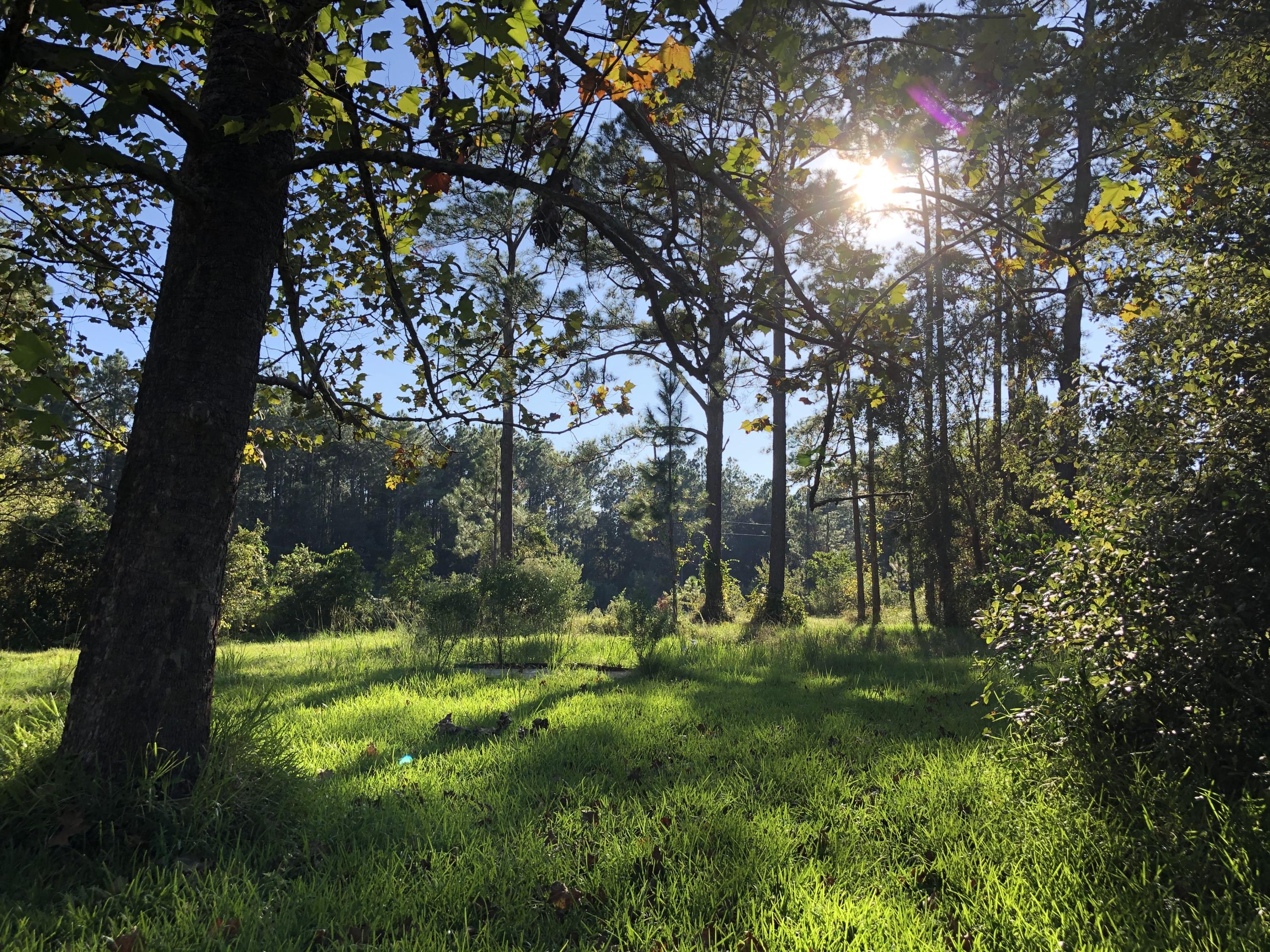 SANTA ROSA PLANTATION - Land