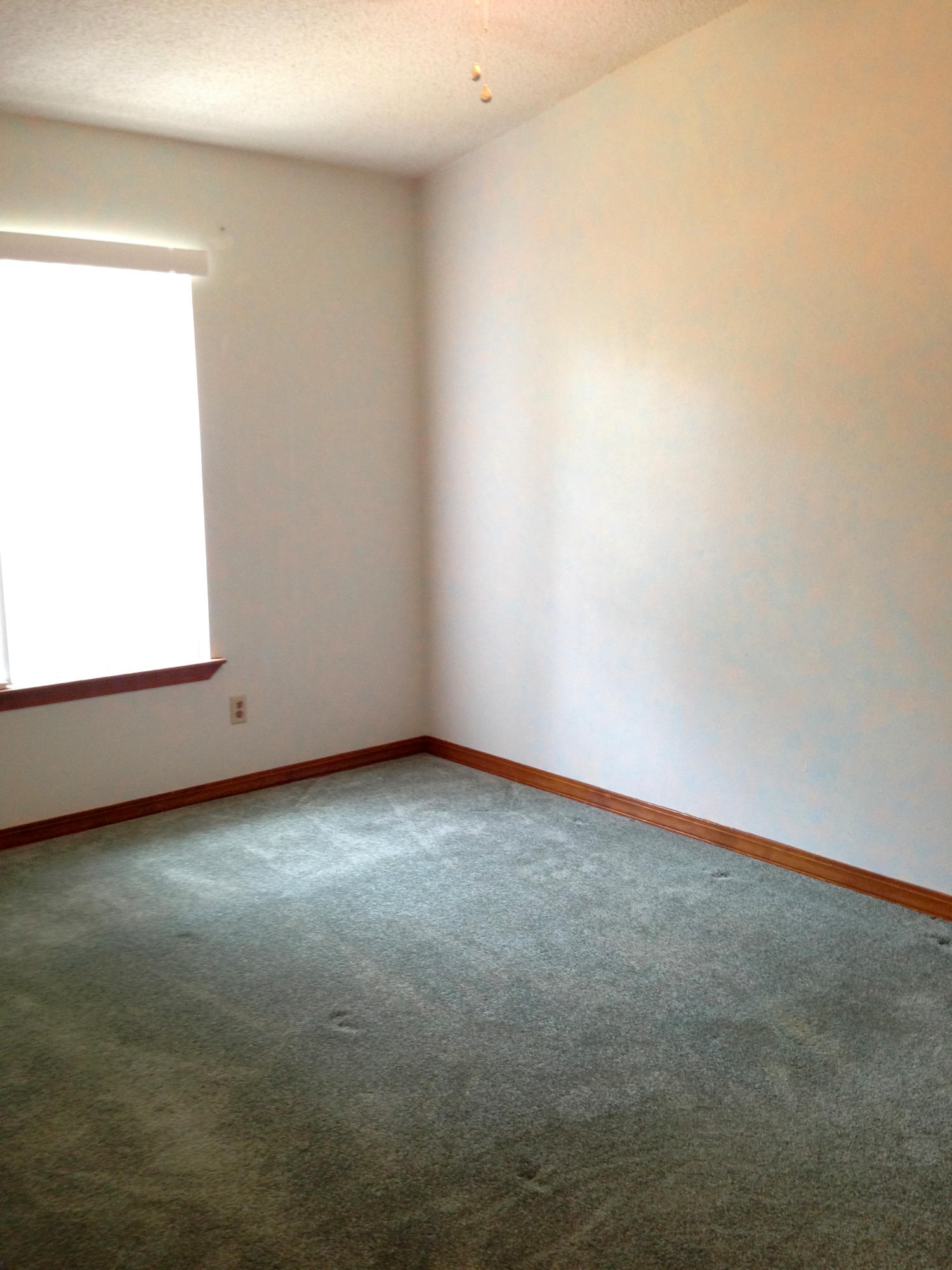 PINE FOREST S/D - Residential