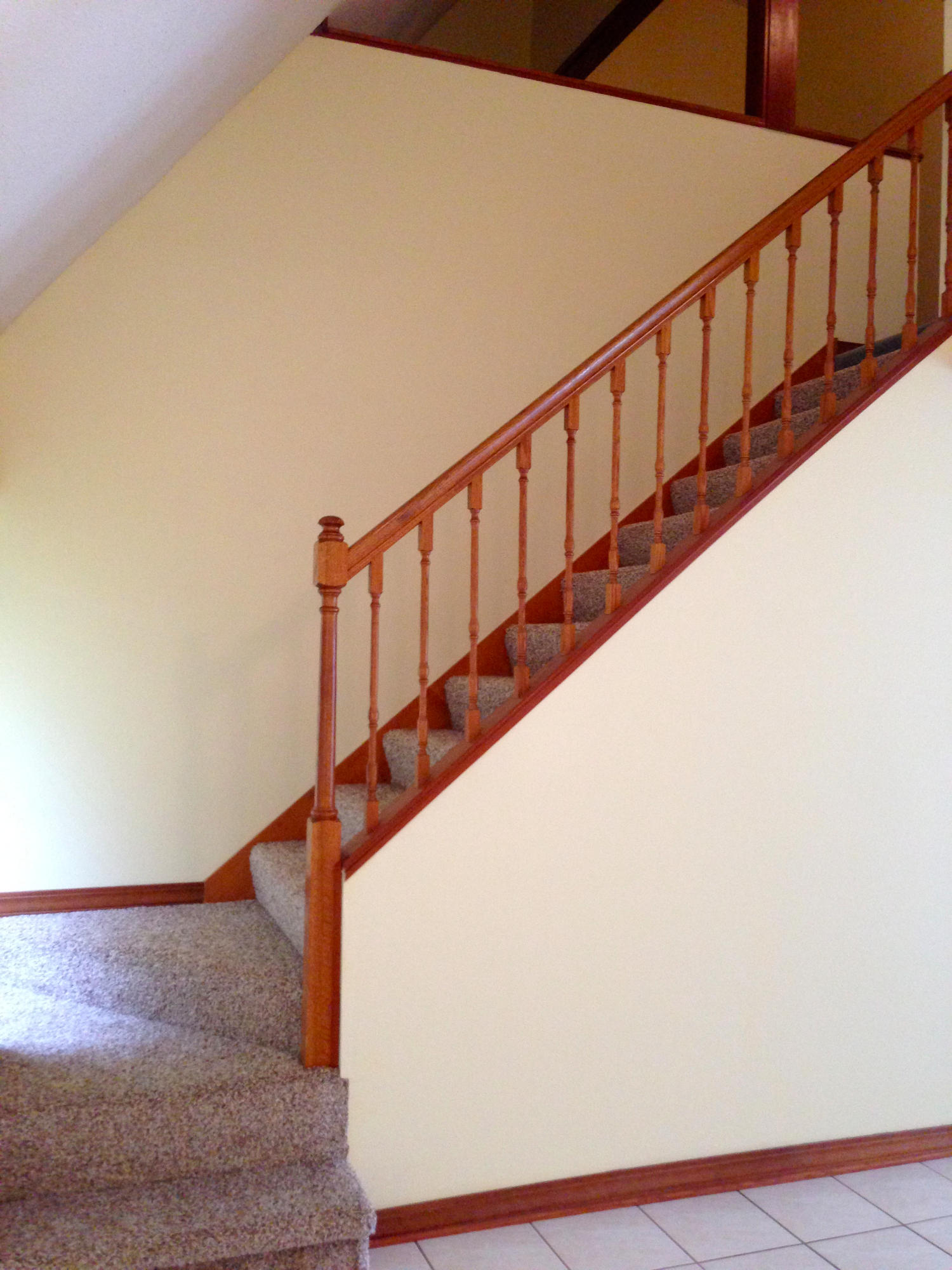 PINE FOREST S/D - Residential