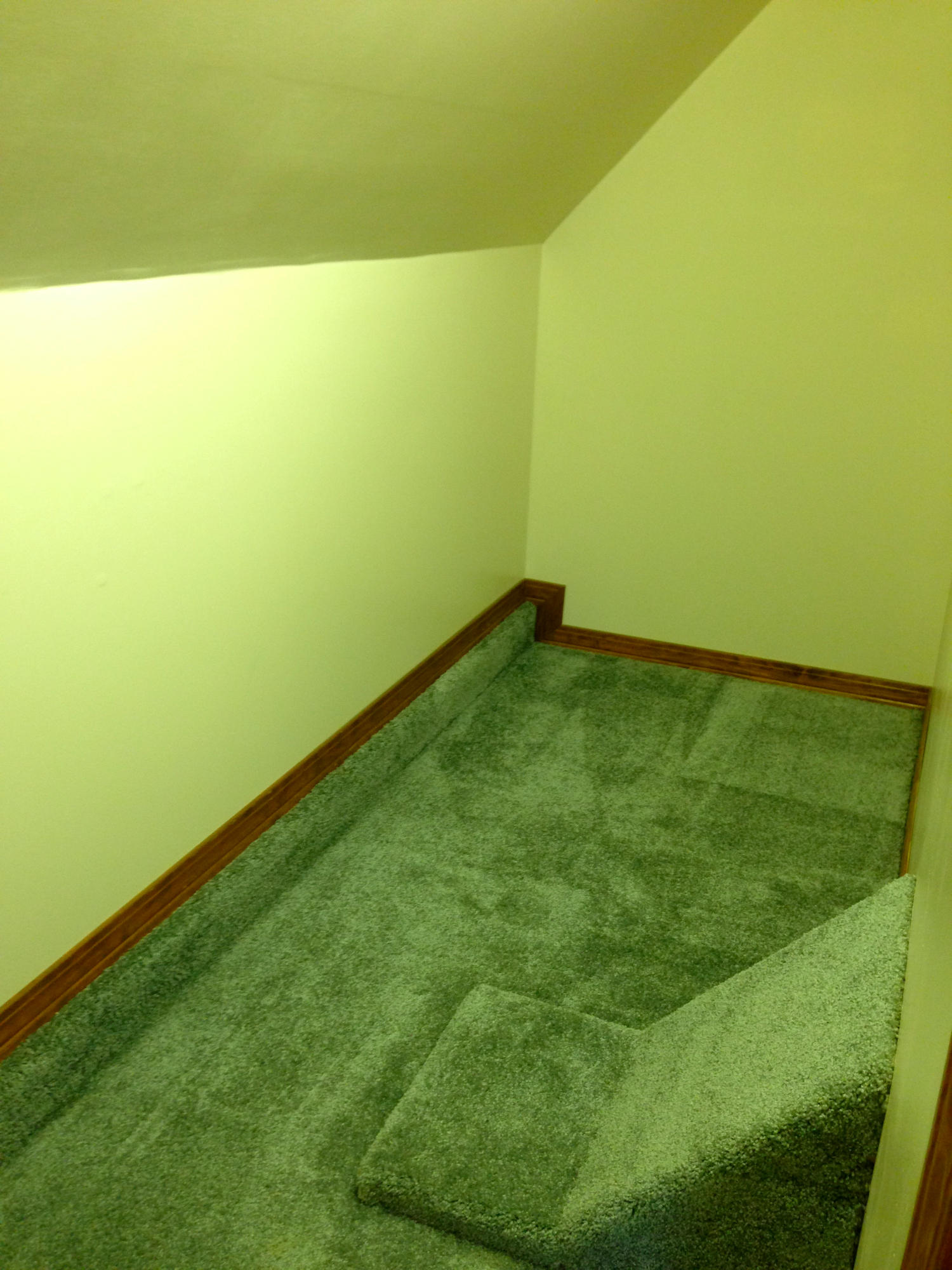 PINE FOREST S/D - Residential