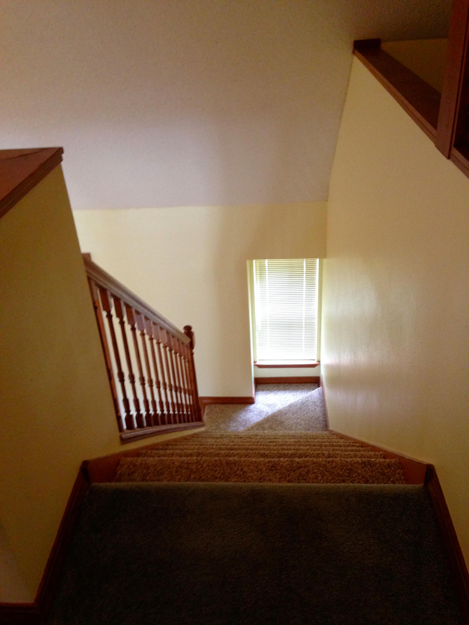 PINE FOREST S/D - Residential