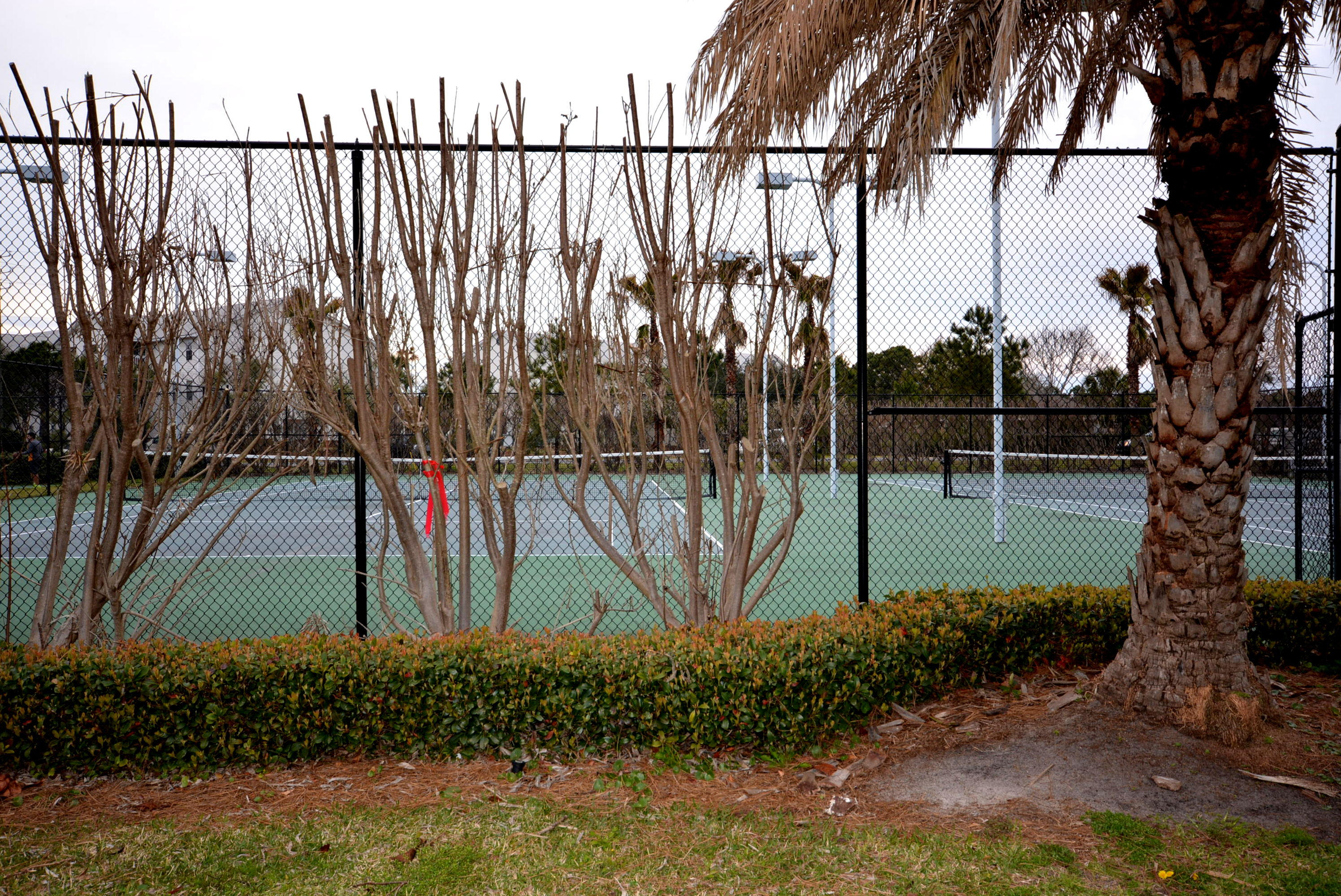 The Palms of Destin - Residential