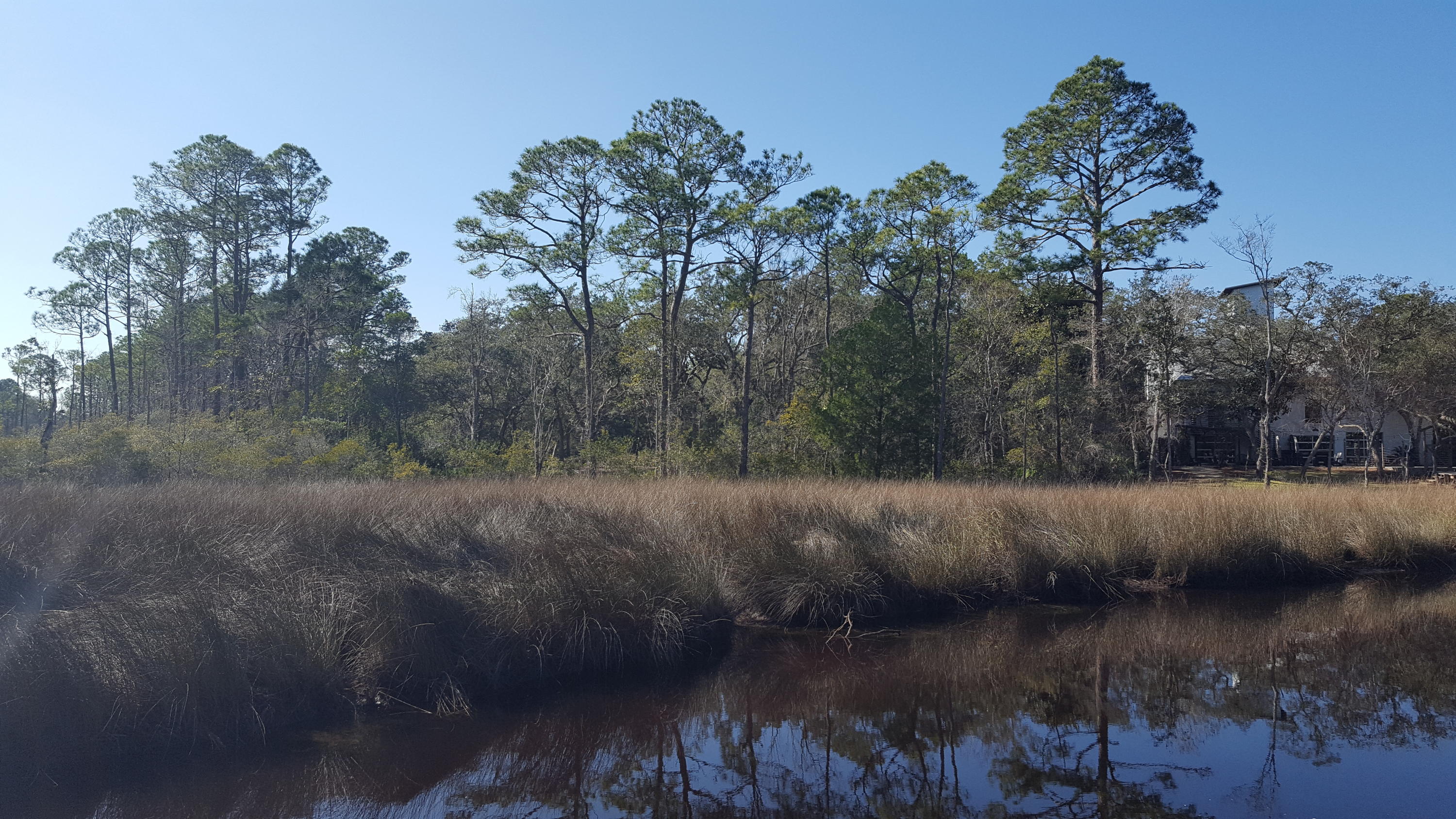 Fantastic opportunity to own a slice of that ''Old Florida'' feel. This waterfront Tucker Bayou lot is convenient to all the offerings along the 30A beaches and provides boaters quick access to Choctawhatchee Bay and the Intracoastal Waterway. Build your own dock or access a Walton County maintained boat ramp just down the road. Dog Hobble Lane is in the heart of Point Washington where locals and investors love to be. Take a drive down this quiet lane and witness all the new construction and charm available in this Eden Estates neighborhood.