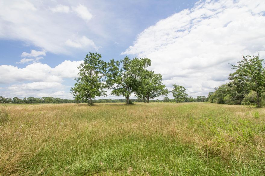 Stunning 28 acres of beautiful farm land within a hour drive of all the local bases, beaches, and major shopping centers. Property would make a great future home site as well farm for your hay, cotton, or even farm animals.