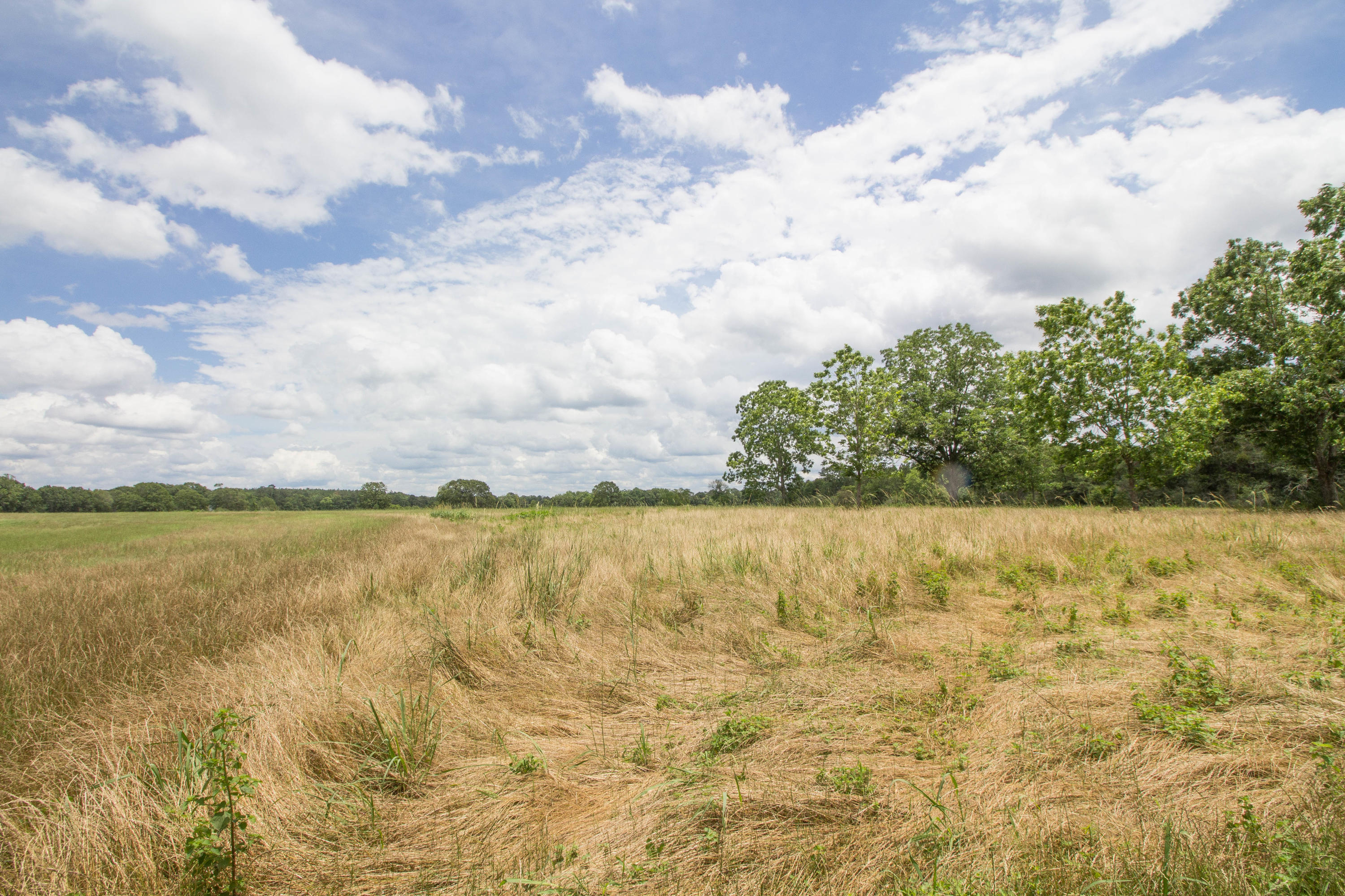 METES & BOUNDS - Farm