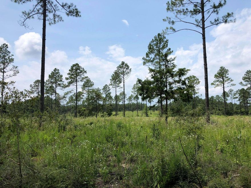 LOOKING FOR A GREAT PIECE OF PROPERTY NORTH OF CRESTVIEW TO BUILD YOUR DREAM HOME? THIS 20 ACRE PARCEL +/- IS A GREAT  PARCEL! PROPERTY IS ZONED FOR HORSES AND COWS ALLOWED AS WELL AS MANUFACTORED HOMES. PROPERTY ALLOWS 1 PER 10 ACRES SO  YOU CAN HAVE 2 SEPERATE HOMESITES OR SELL OFF ONE 10 ACRE PARCEL. TONS OF WILDLIFE ABOUND - PERFECT PLACE TO FIND THE RELAXING HOMESITE YOU HAVE BEEN DREAMING OF! EASY START TO YOUR NEW HOME!