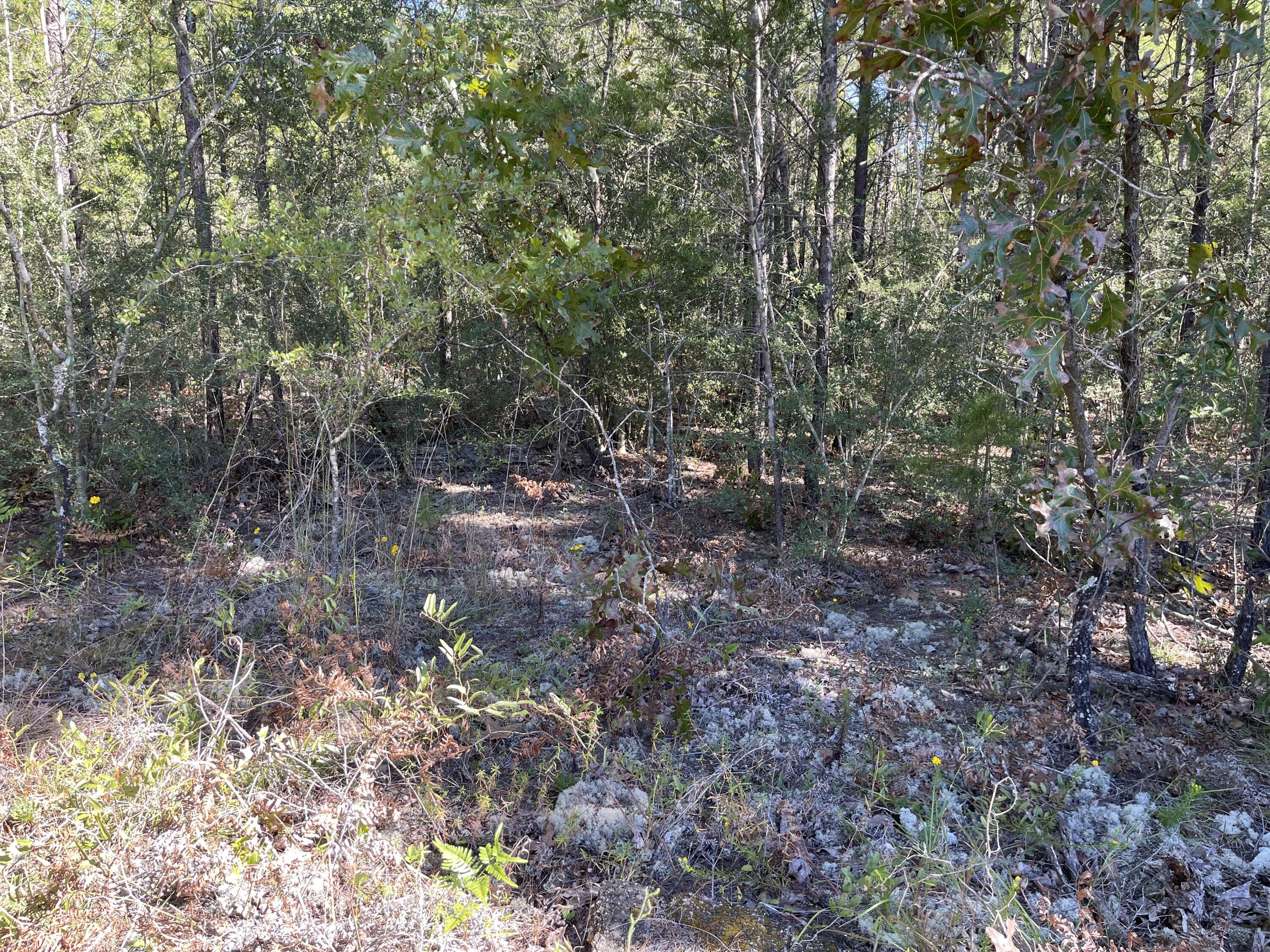 OAKWOOD HILLS UNIT 1 - Land