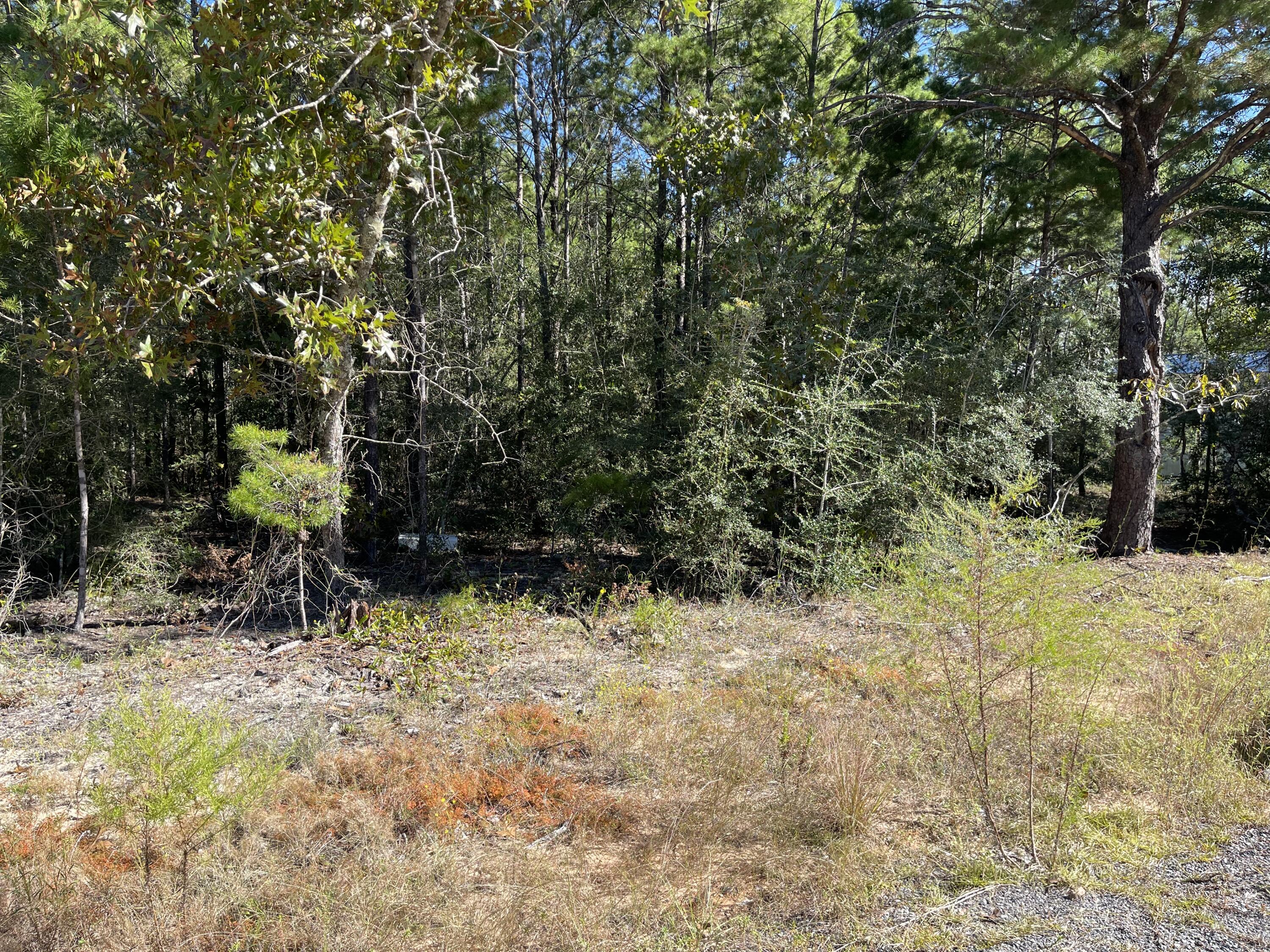 OAKWOOD HILLS UNIT 1 - Land