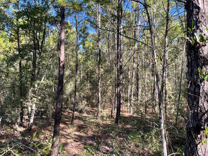 Looking for a great level lot? Here it is. This land is in a great location about midway between Crestview & Defuniak Springs with a short drive to highway 285 to get to Niceville, Ft. Walton & Destin. It is located on a gravel county maintained road. This property allows for manufactured/mobile homes as well as stick built homes. Any other property uses would need to be verified by the county. The property does have access to public water through Mossy Head Water Works. Power is Chelco.