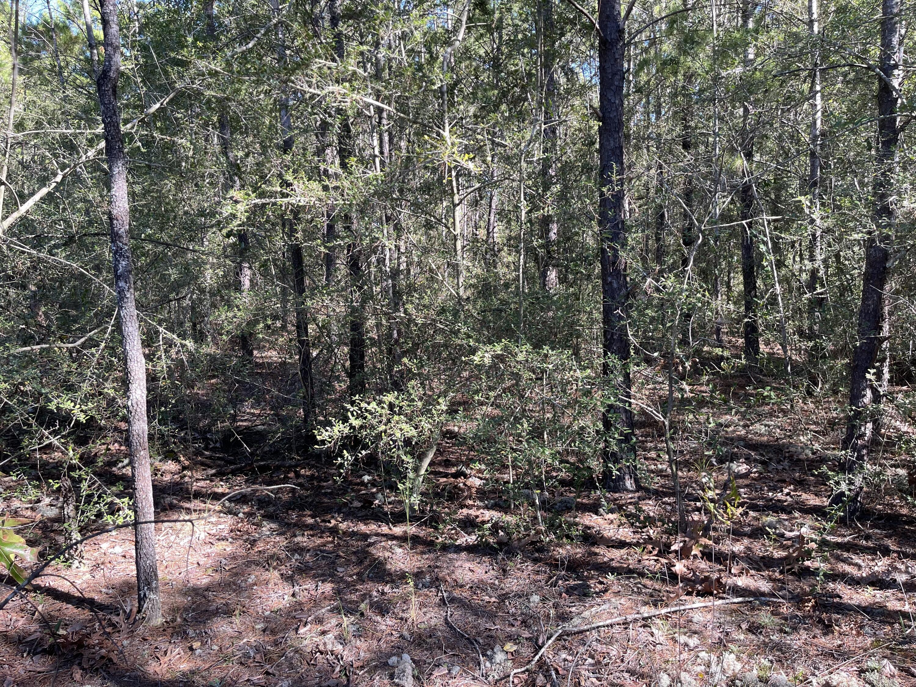 OAKWOOD HILLS UNIT 1 - Land