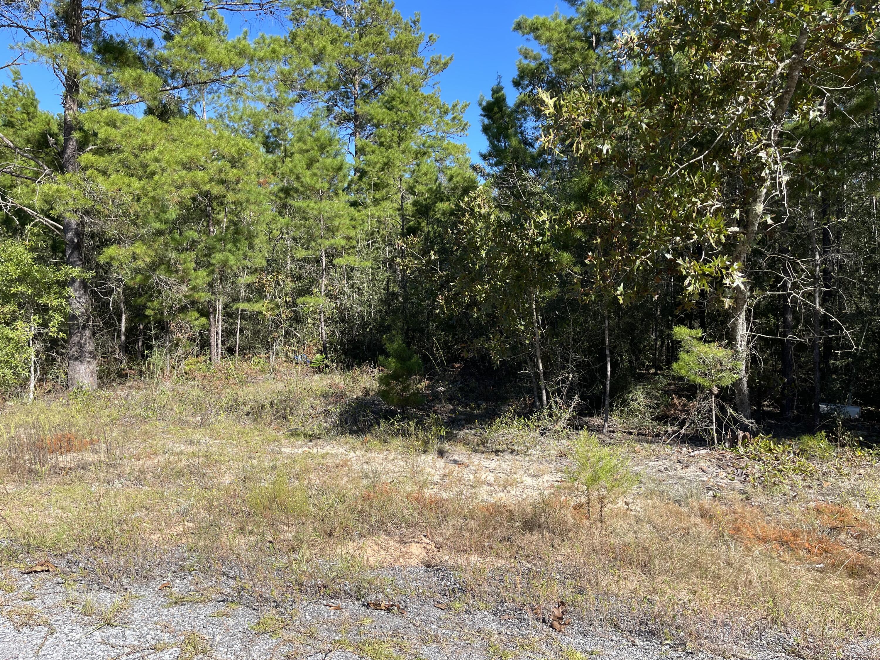 OAKWOOD HILLS UNIT 1 - Land