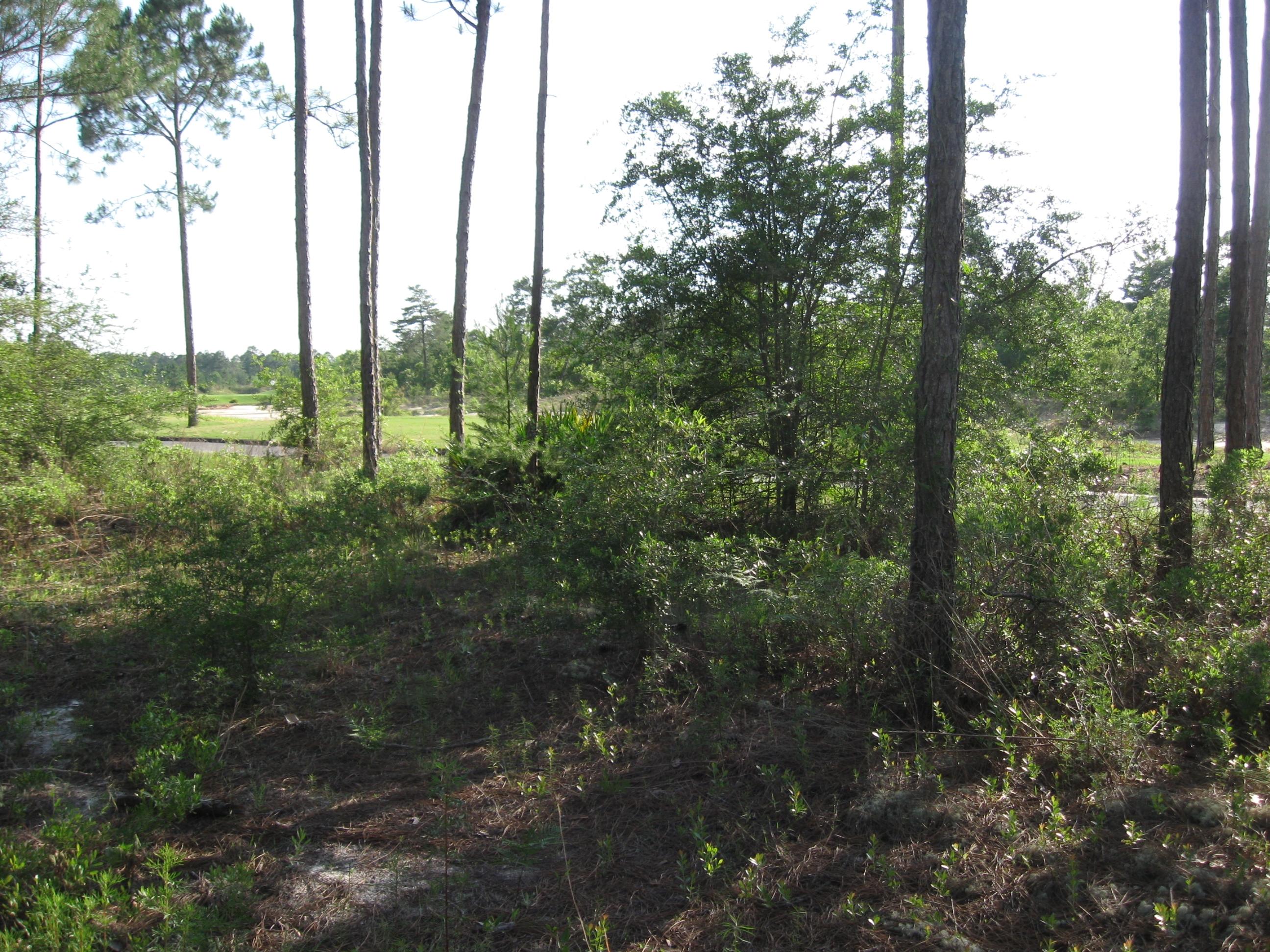 WINDSWEPT ESTATES - Land